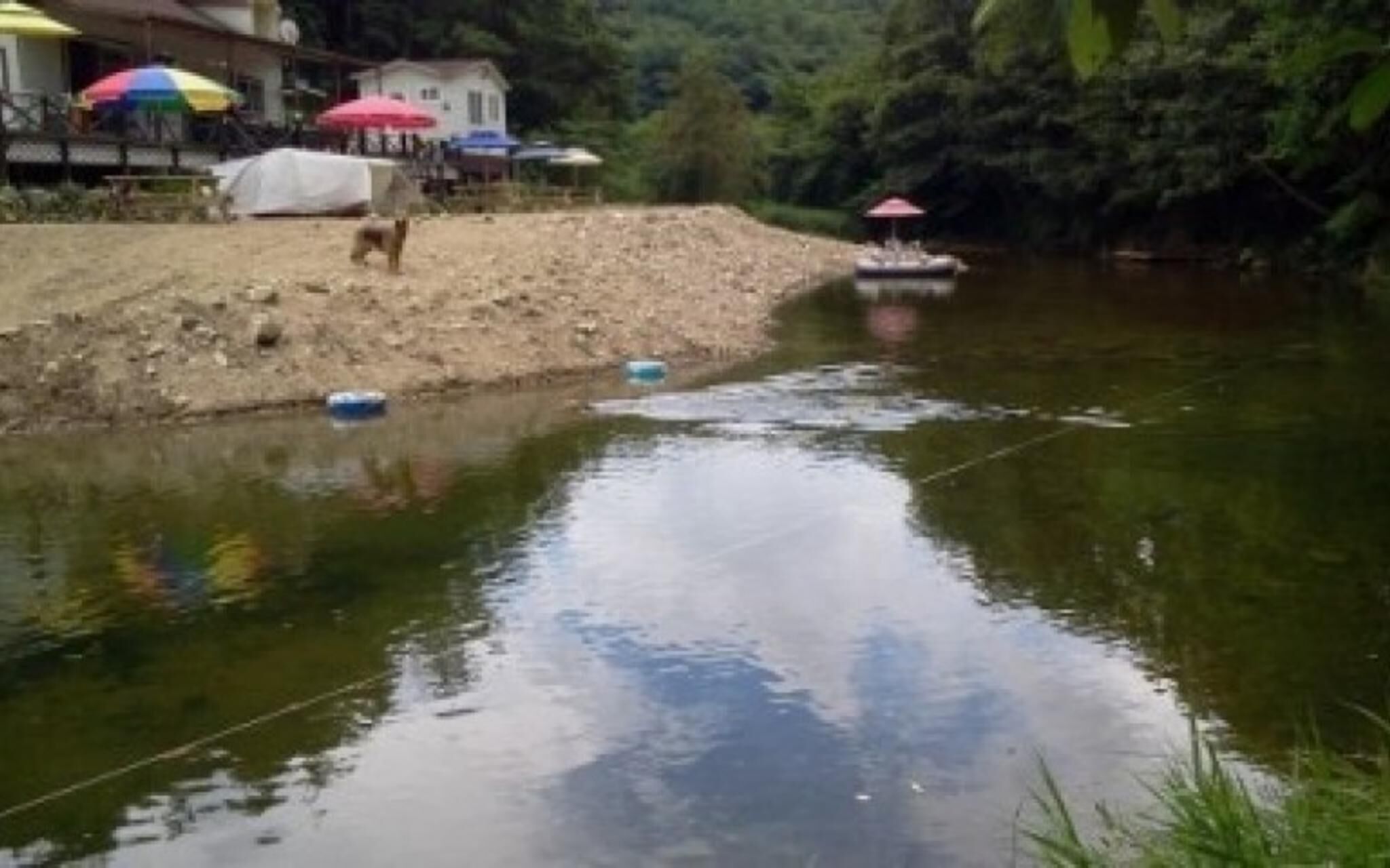 Yangyang Aria Pension