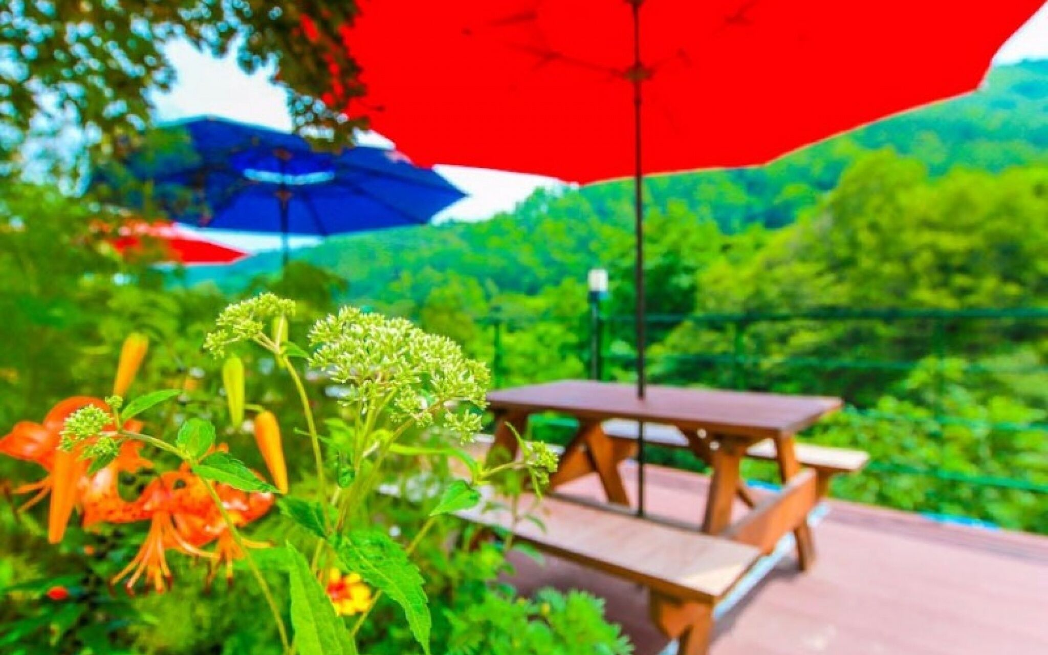 Yangyang Daol Pension