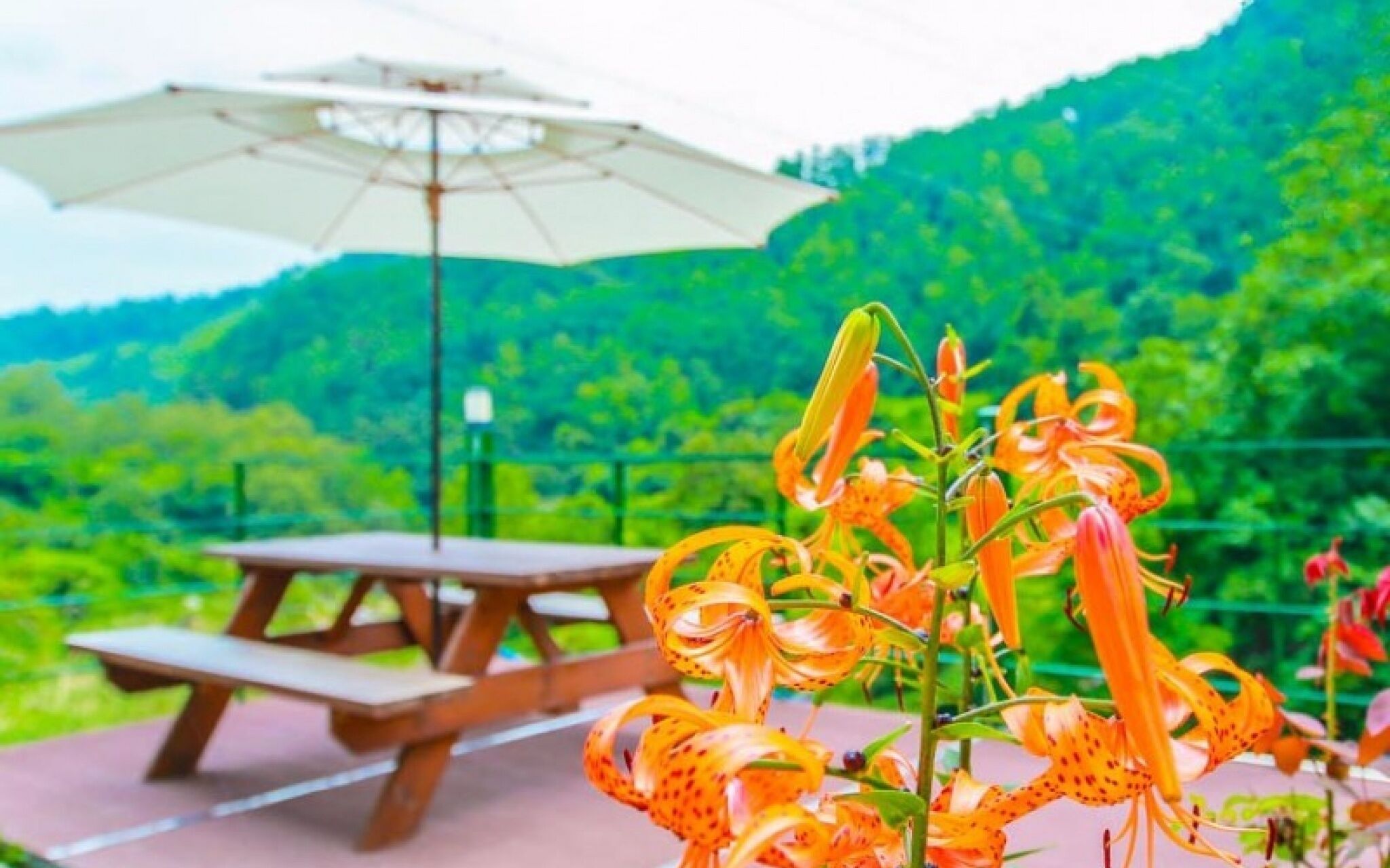 Yangyang Daol Pension