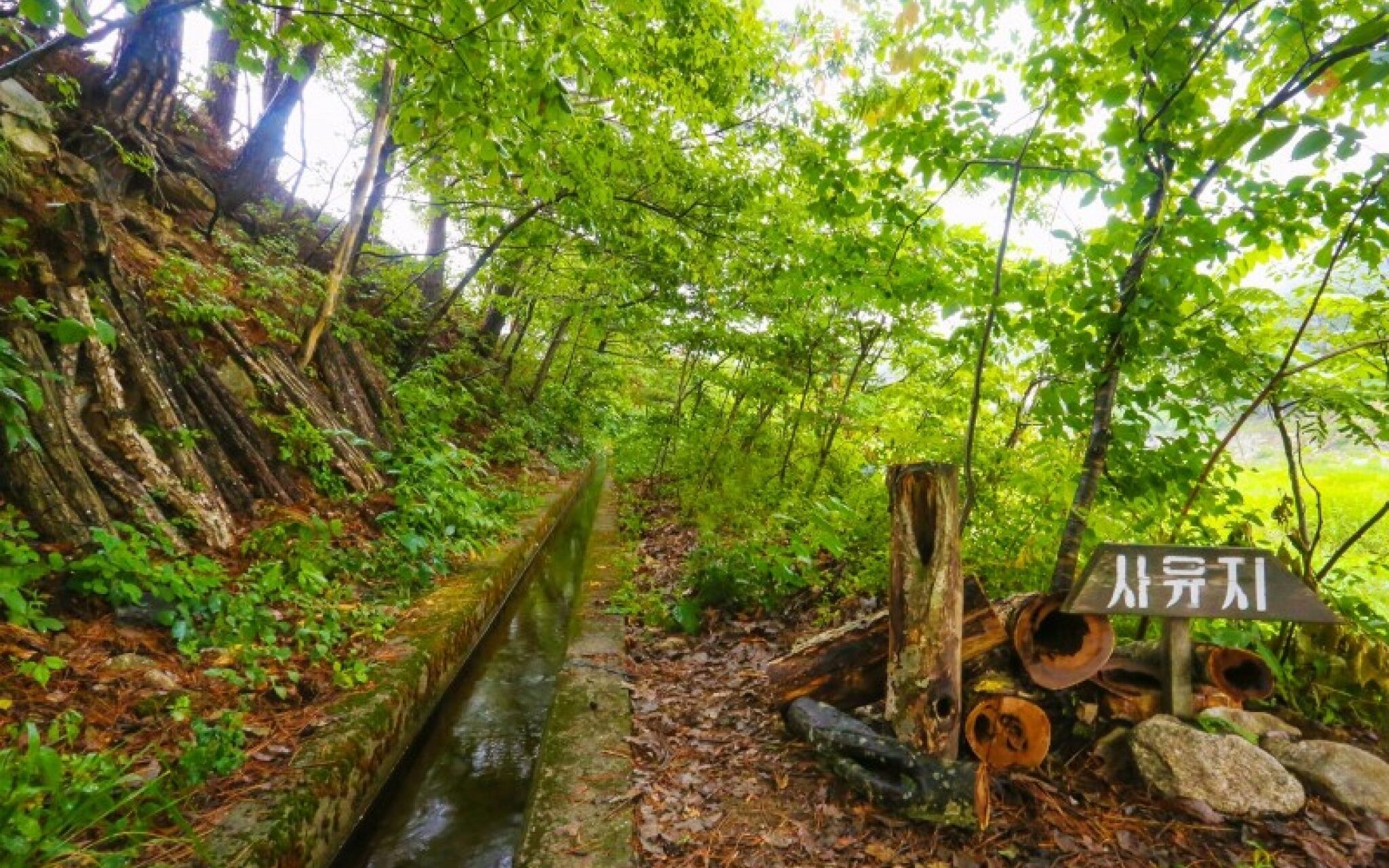 Yangyang Goyohan Kkottteul Pension
