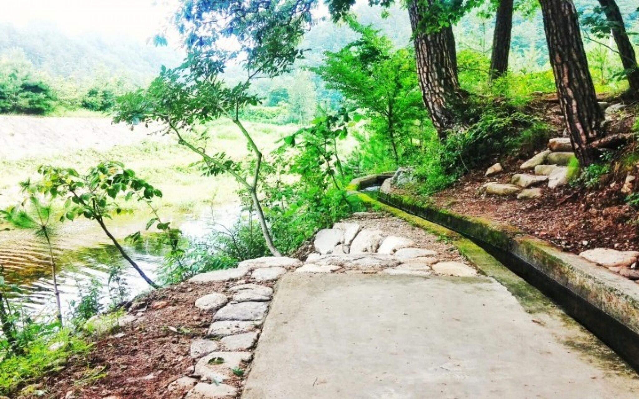 Yangyang Goyohan Kkottteul Pension