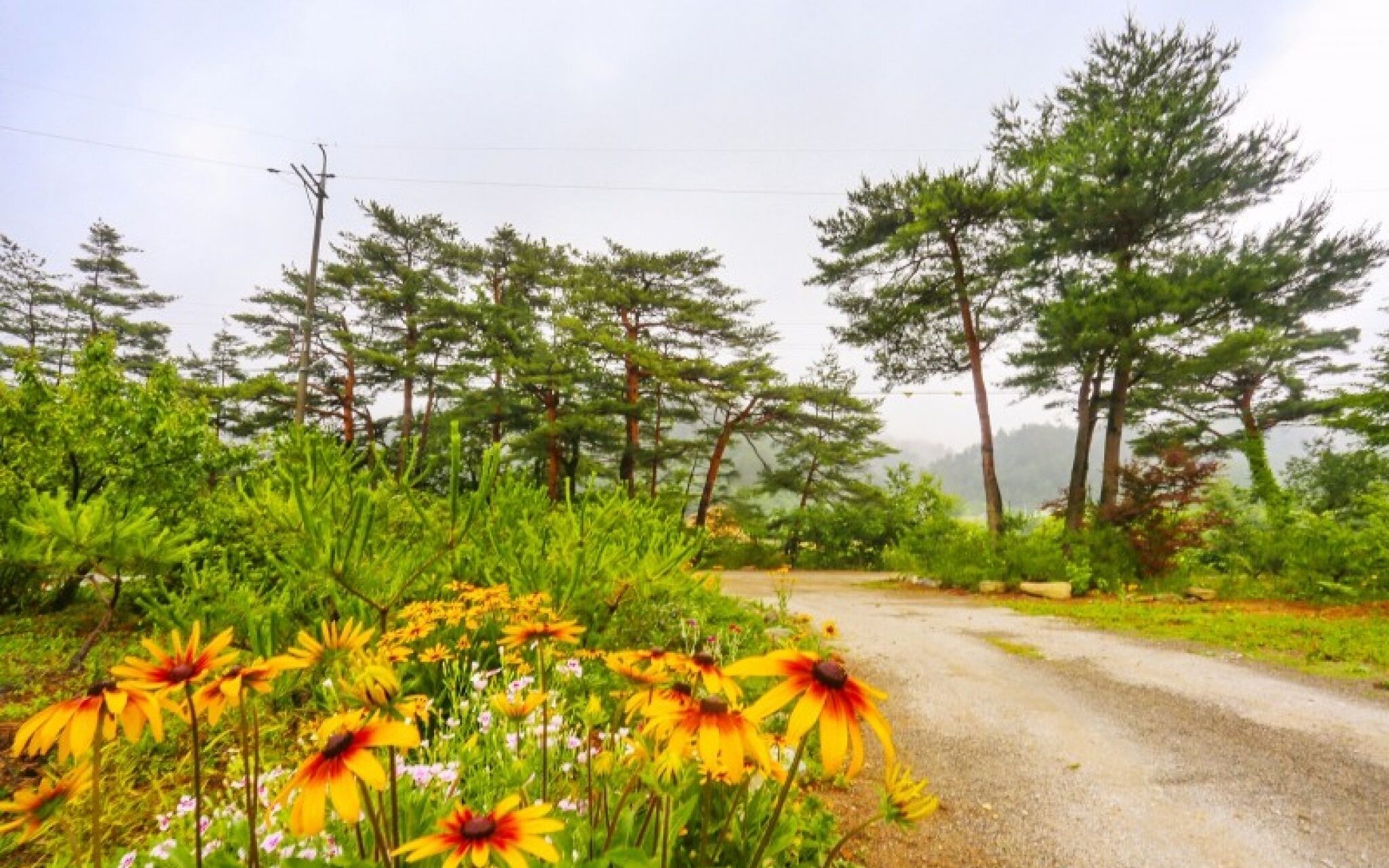 Yangyang Goyohan Kkottteul Pension