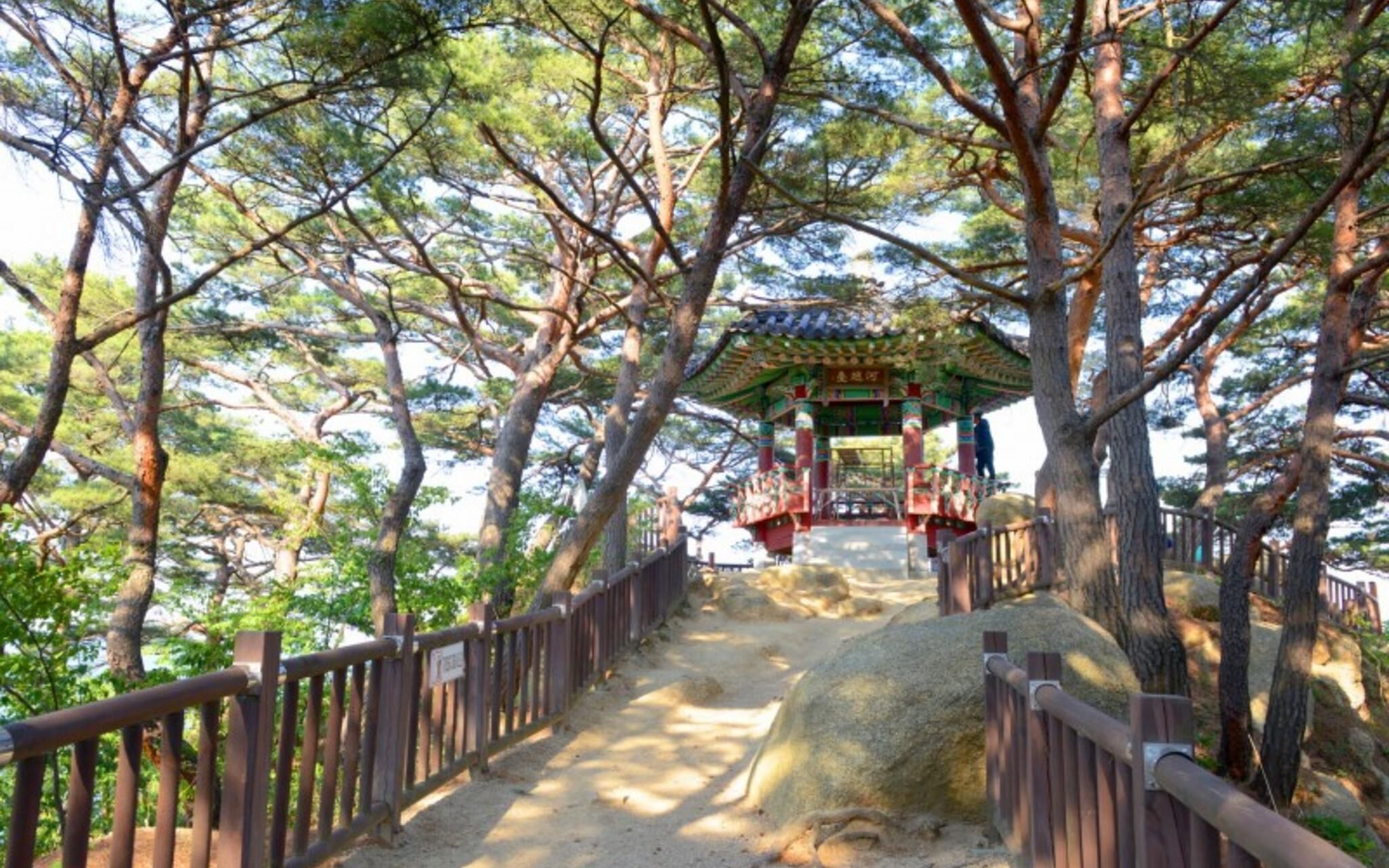 Yangyang Hajodae Conto Hotel Pension