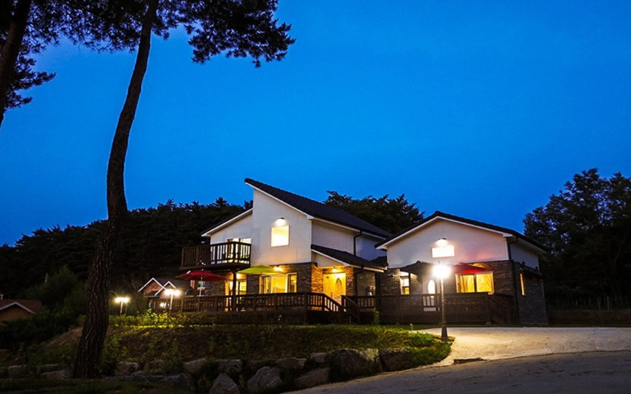 Yangyang Mono Tree Pension
