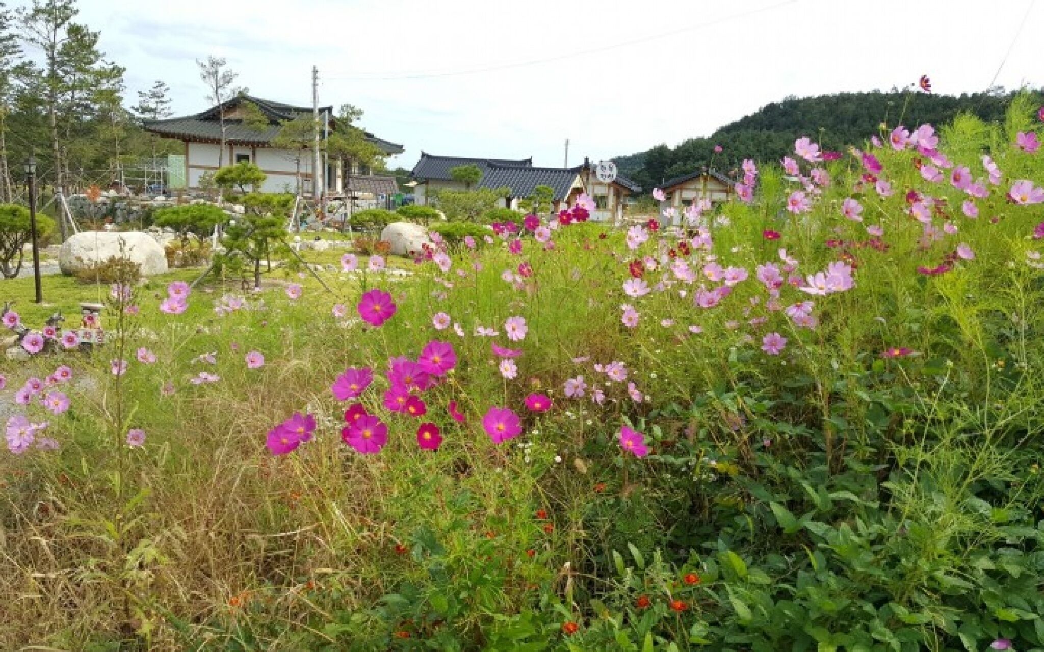 Yangyang Seorak Nadeul Pension