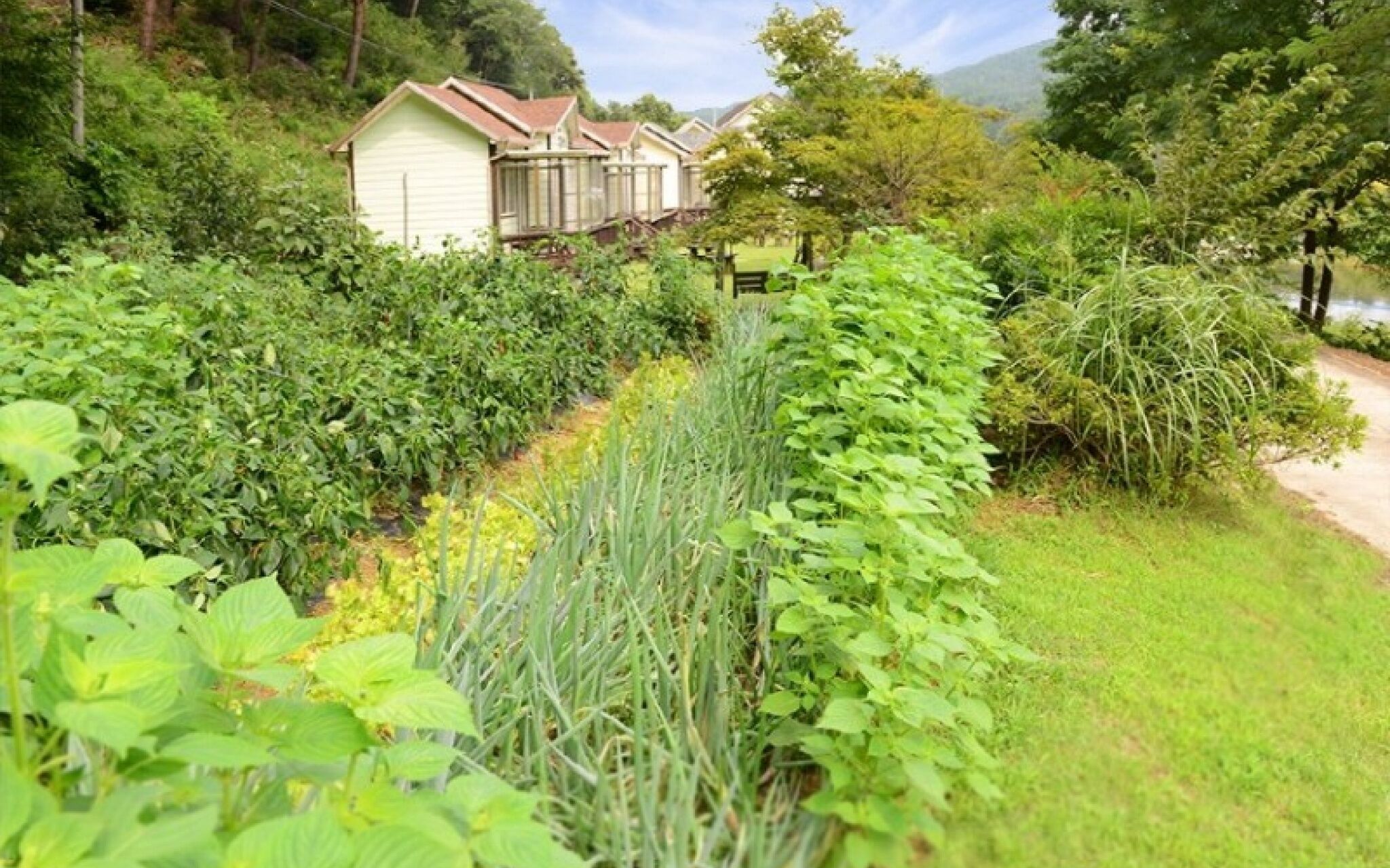 Yangyang Sigol Punggyeong Pension