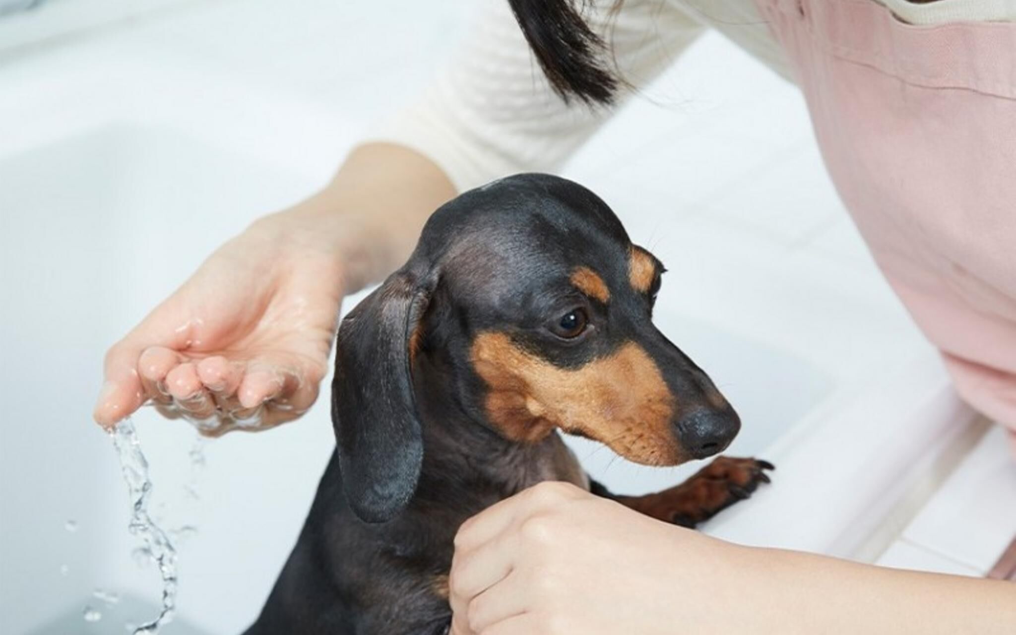 Yangyang Vintage House Pension