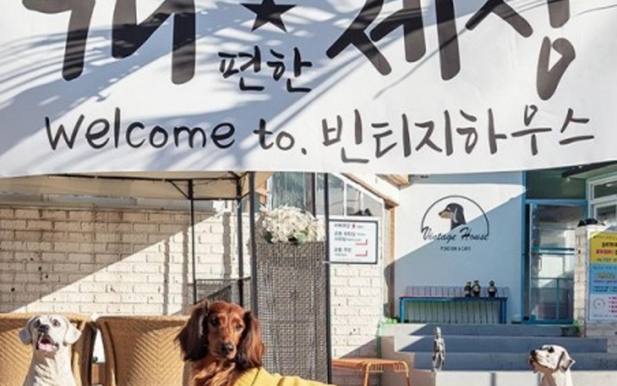 Yangyang Vintage House Pension