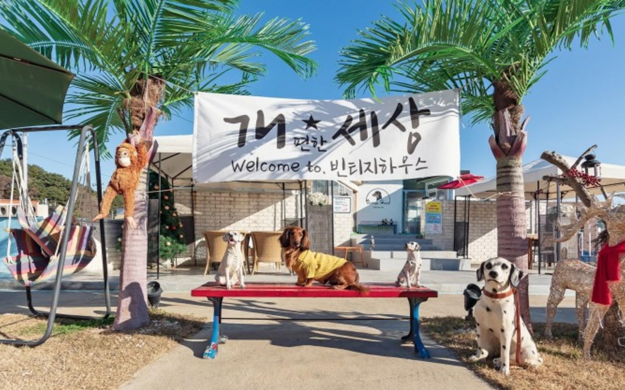 Yangyang Vintage House Pension