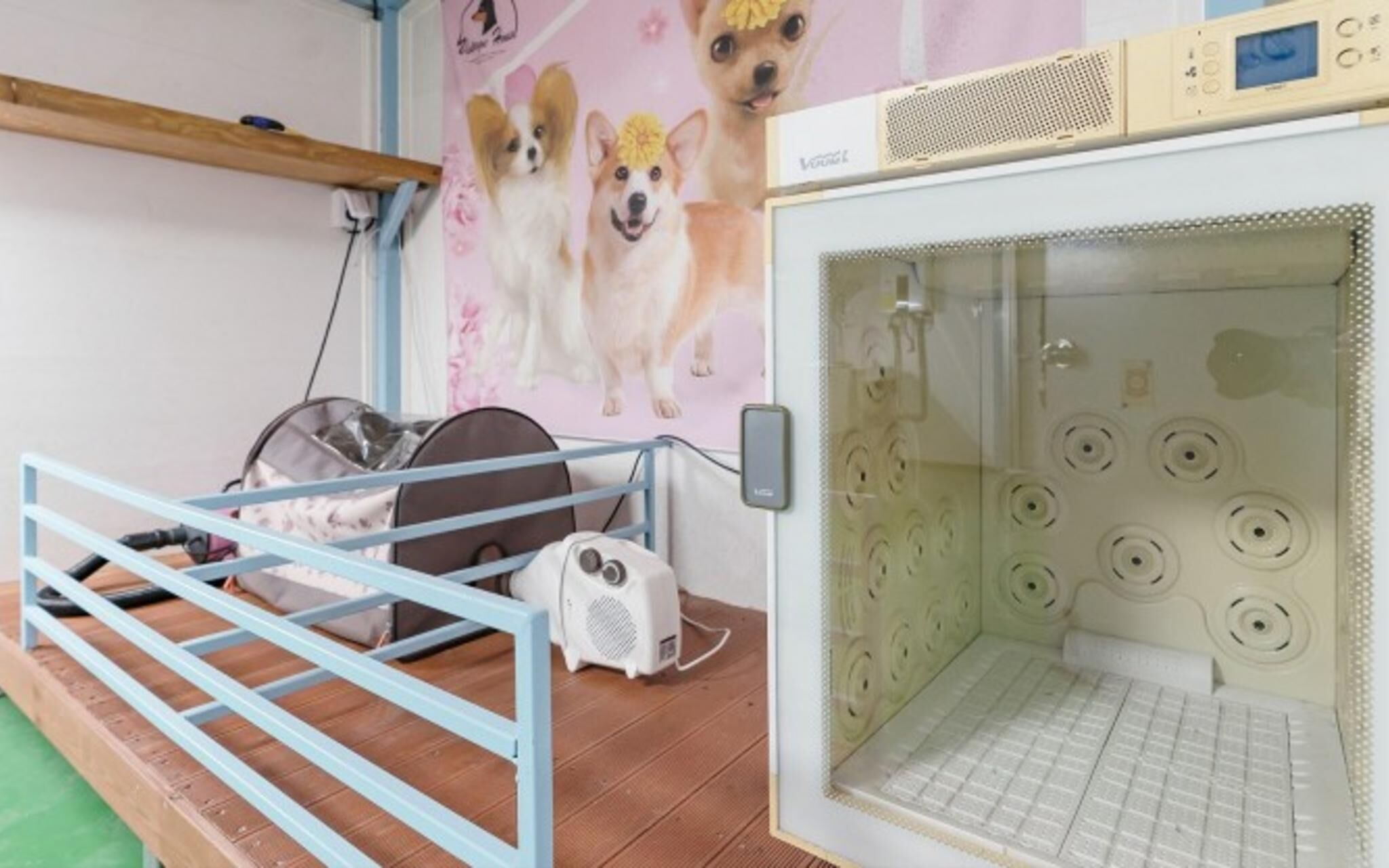 Yangyang Vintage House Pension