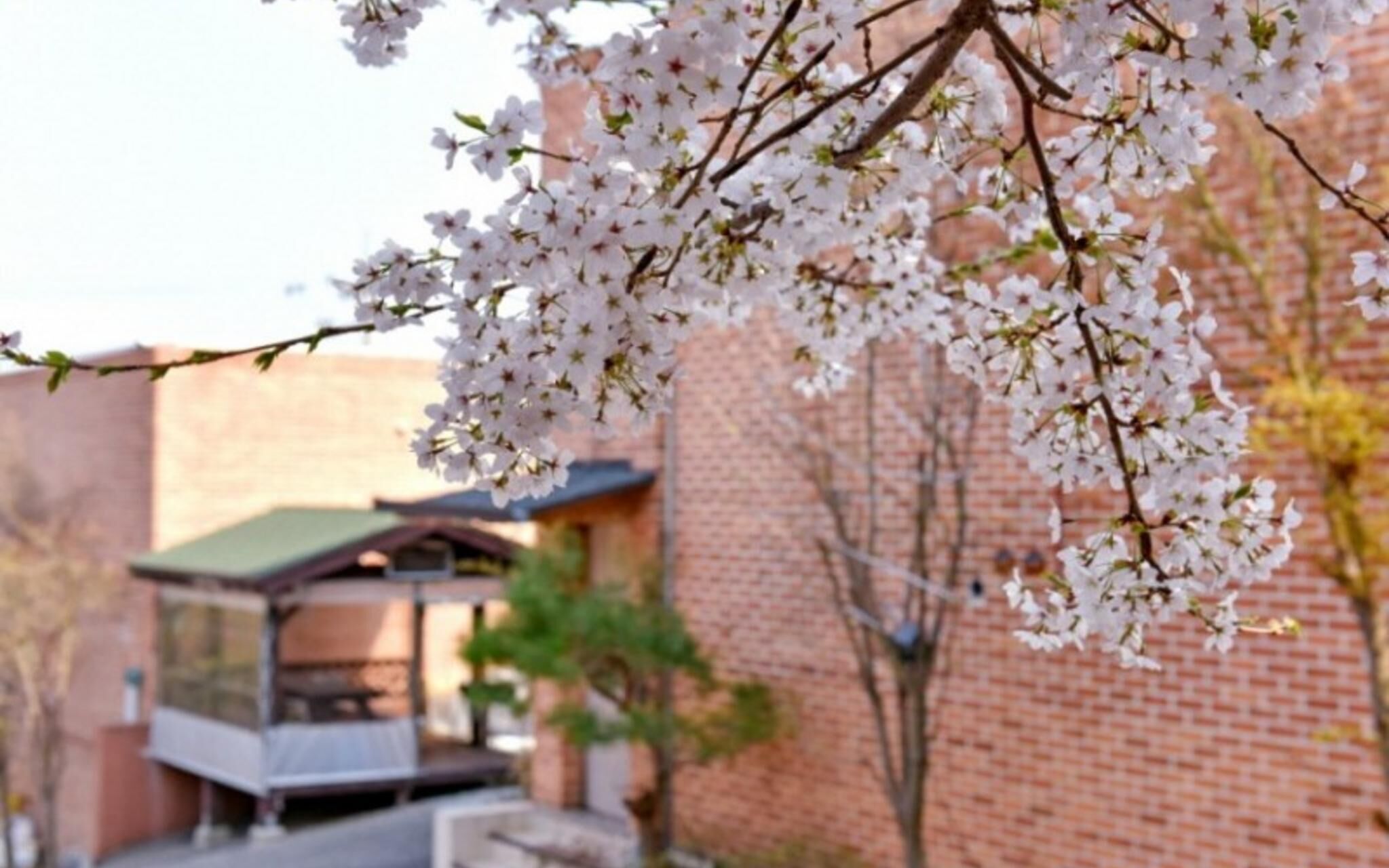 Yesan Jeongdaun Pension