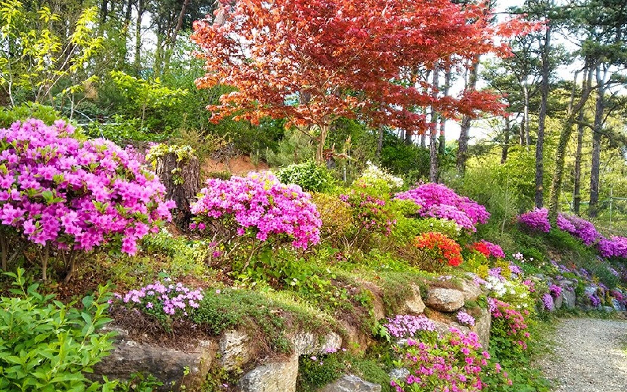 Yongin Byeolbaragi Pension