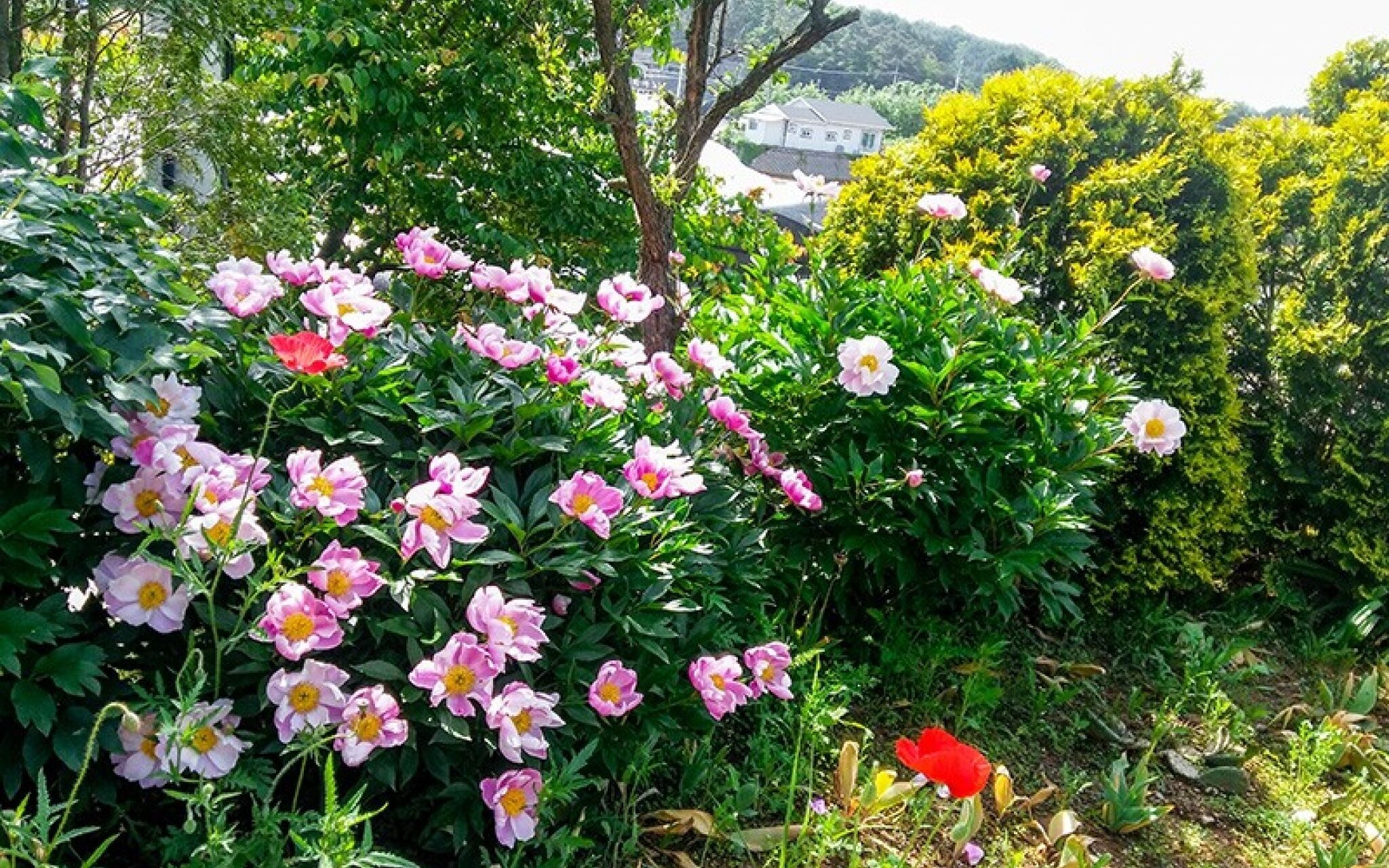 Yongin Byeolbaragi Pension