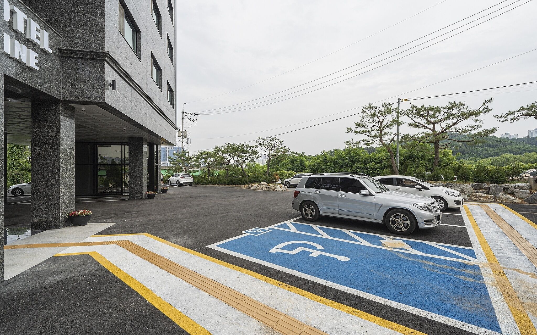 Yongin Pine
