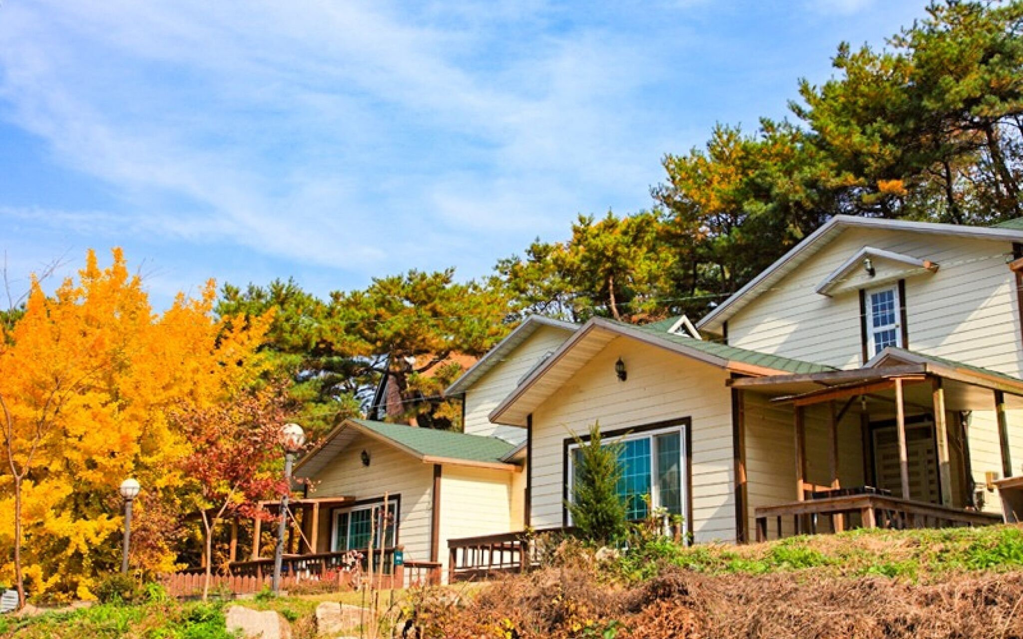 Yong Maple Pension