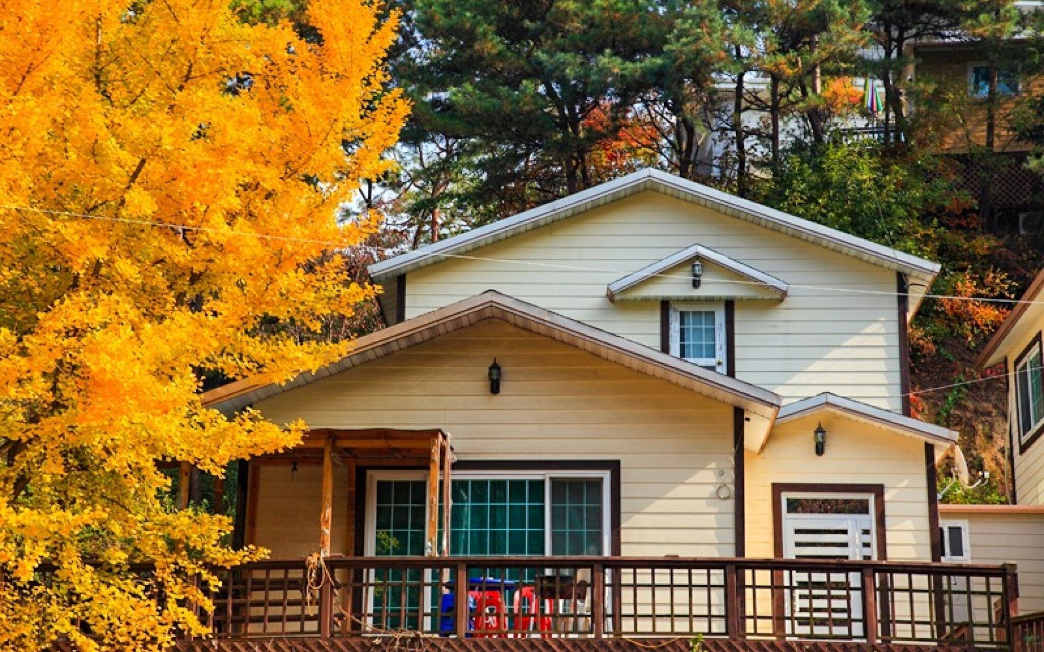 Yong Maple Pension