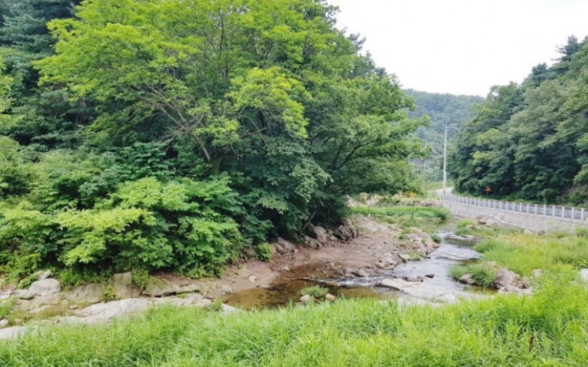 Dongducheon Eoullim Pension