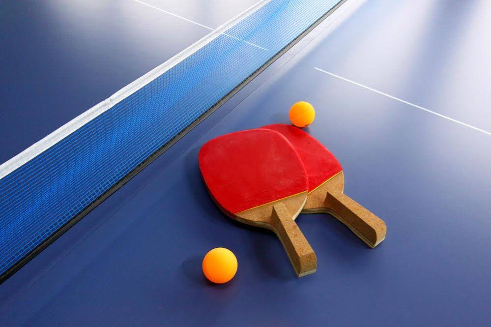 Afternoon Of The Forest