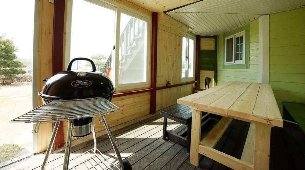 Afternoon Of The Forest