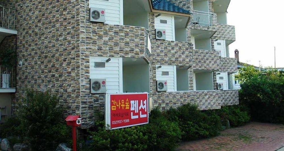 The Persimmon Tree Pension