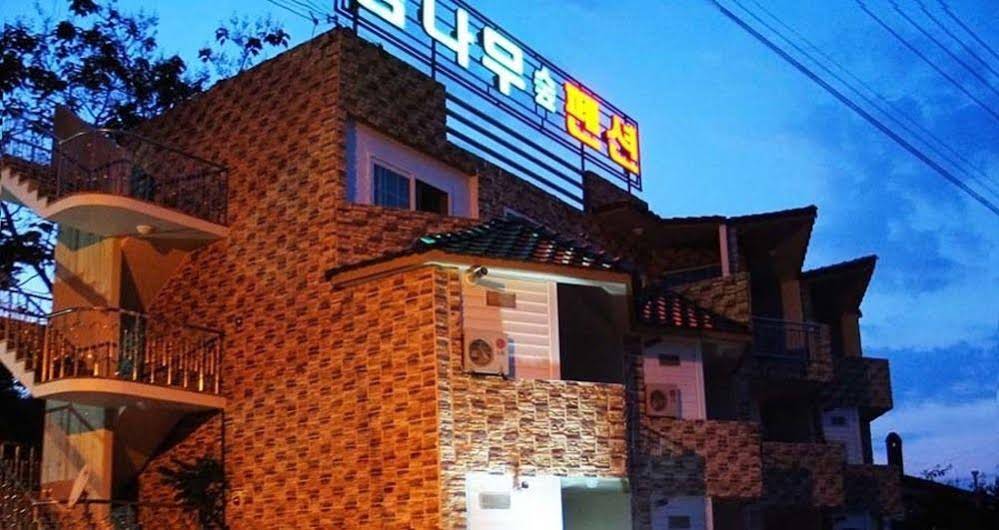 The Persimmon Tree Pension