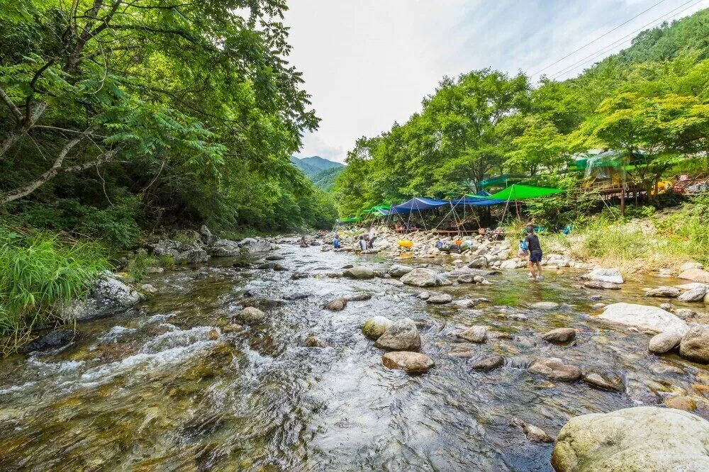Eco Pia Pension