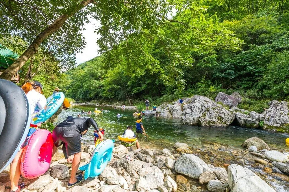 Eco Pia Pension
