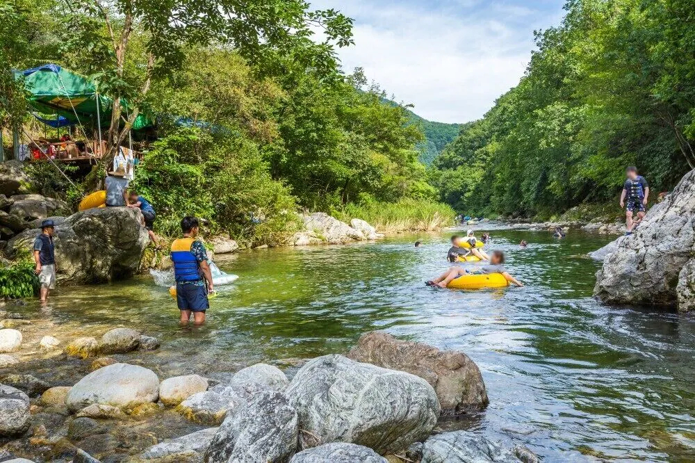 Eco Pia Pension