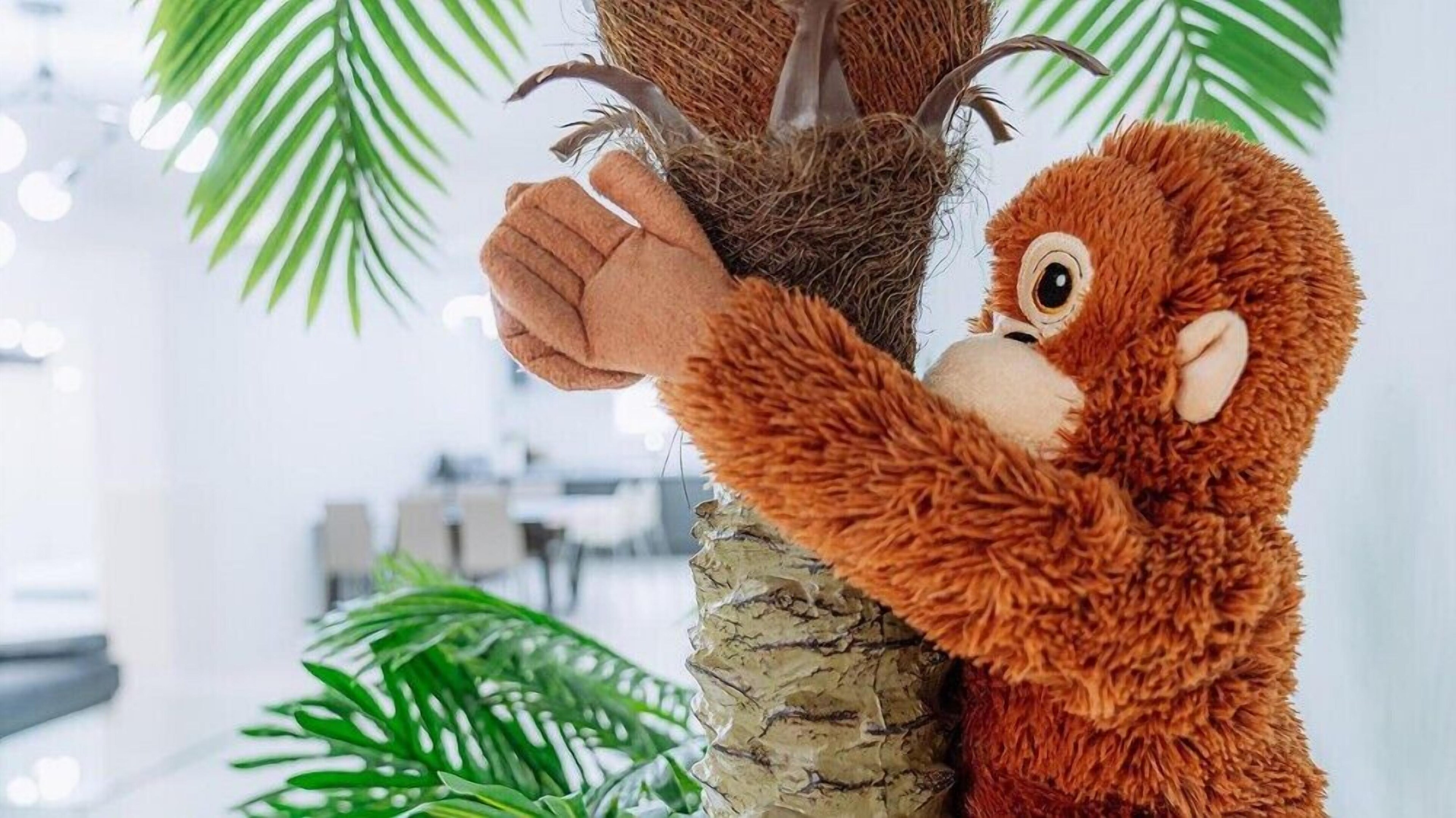 Ello-El kids Pool Villa Pension