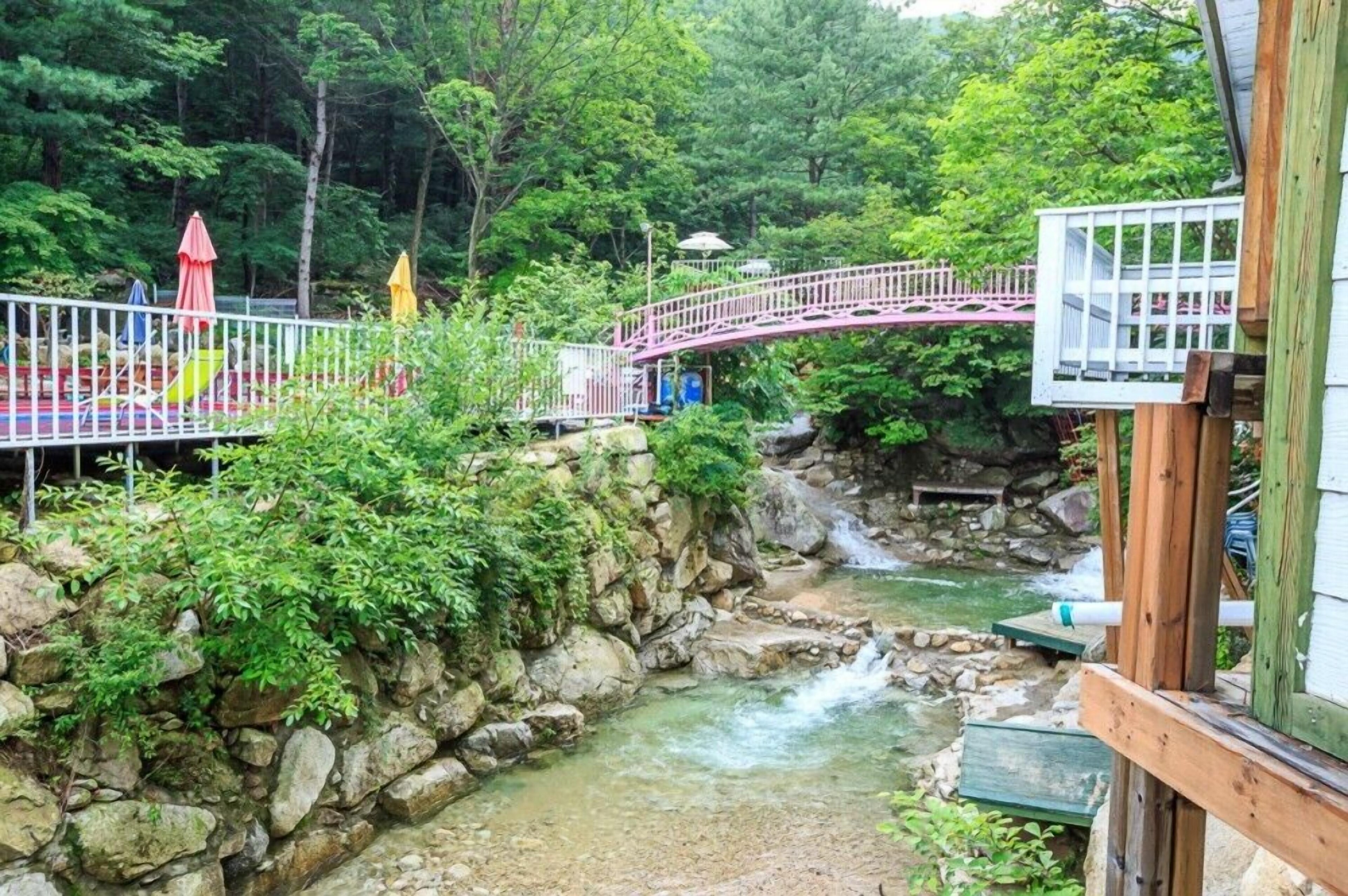 Elsia Pension