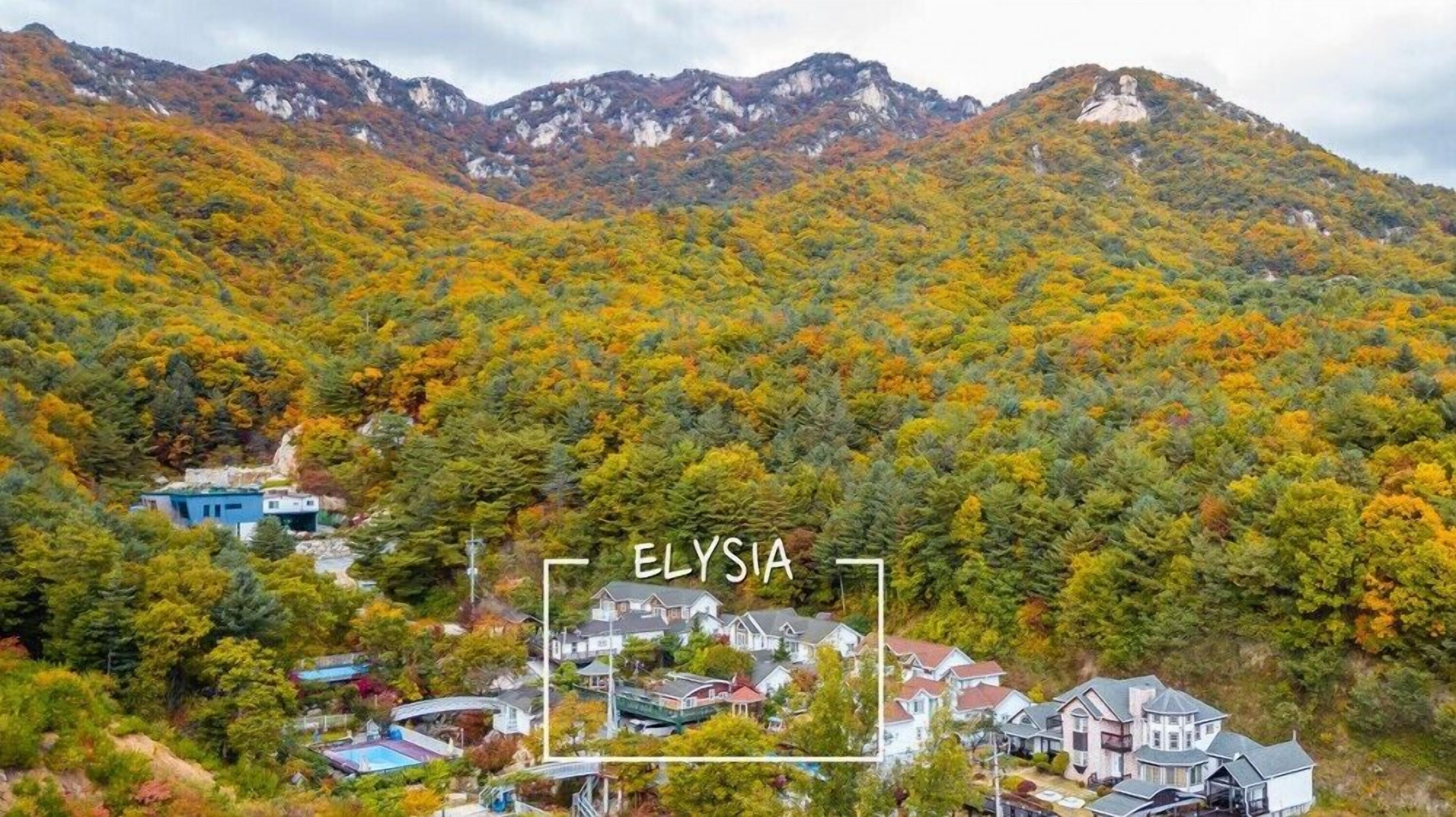 Elsia Pension