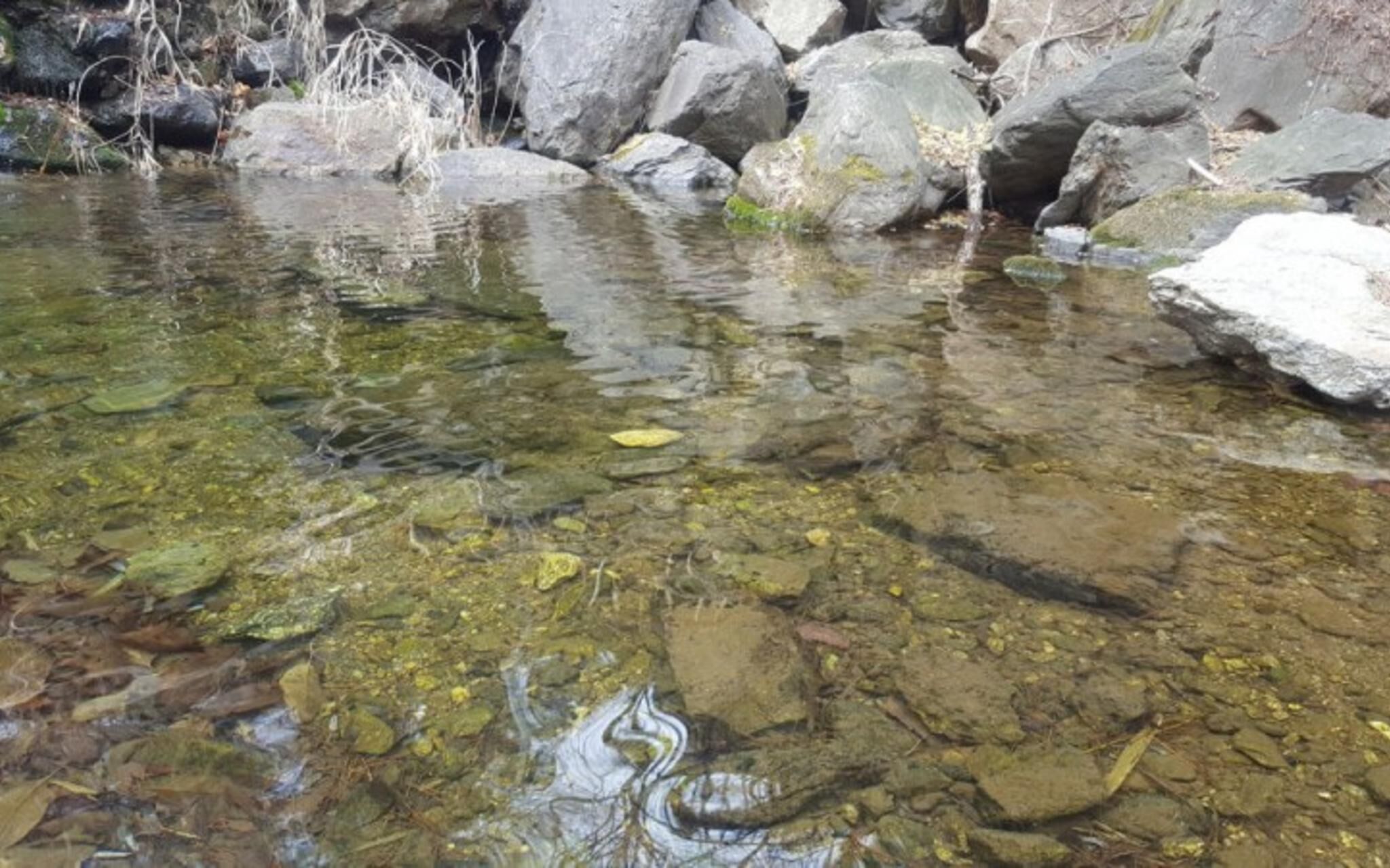 Gapyeong Attirance Pension