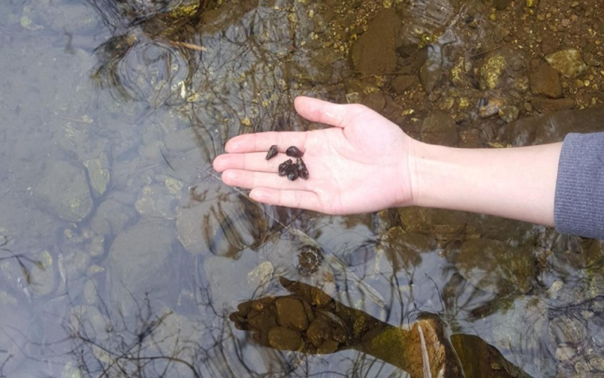 Gapyeong Attirance Pension