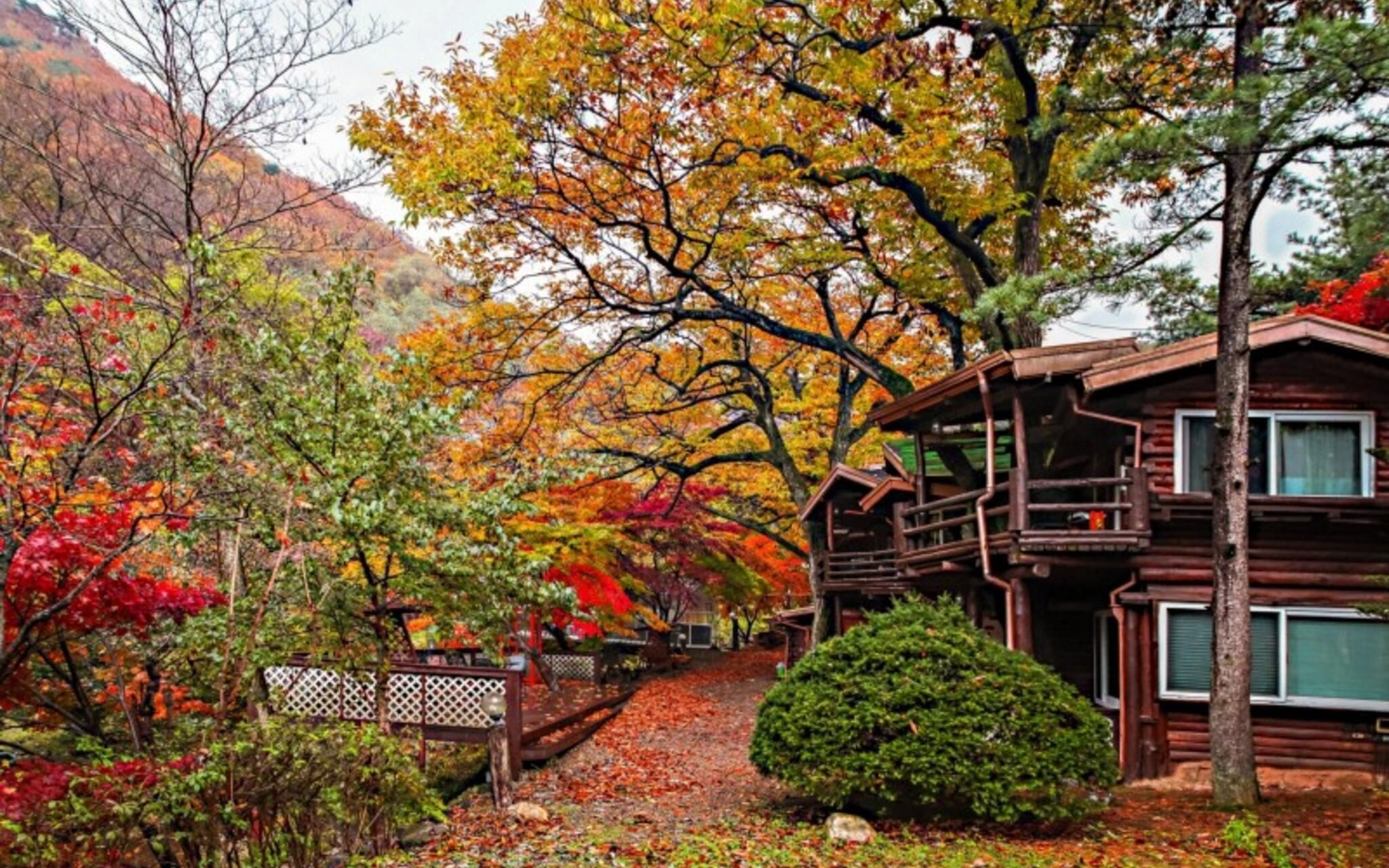Gapyeong Belita Pension
