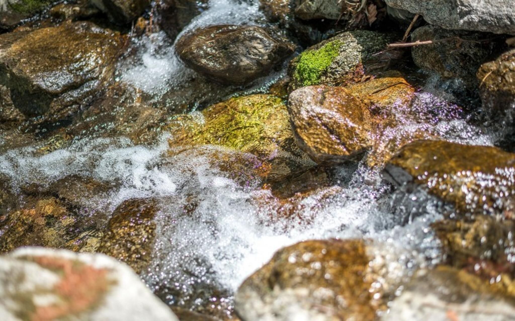 Gapyeong Blueberry Hill Pension