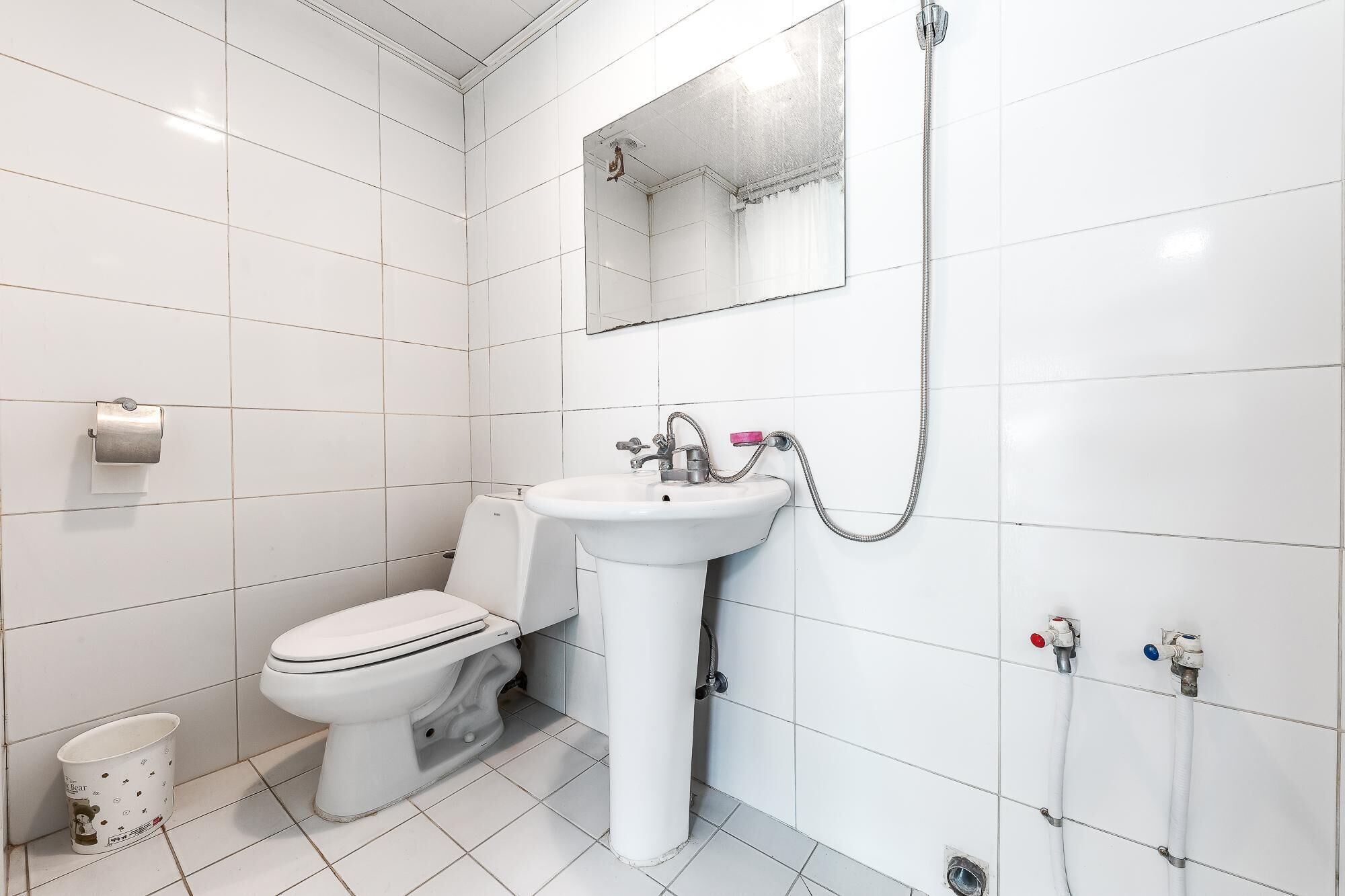 Gapyeong Clubviva Spa Pension