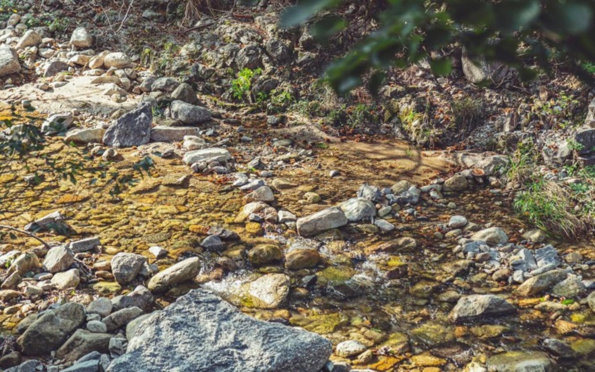 Gapyeong Dior Pool Villa