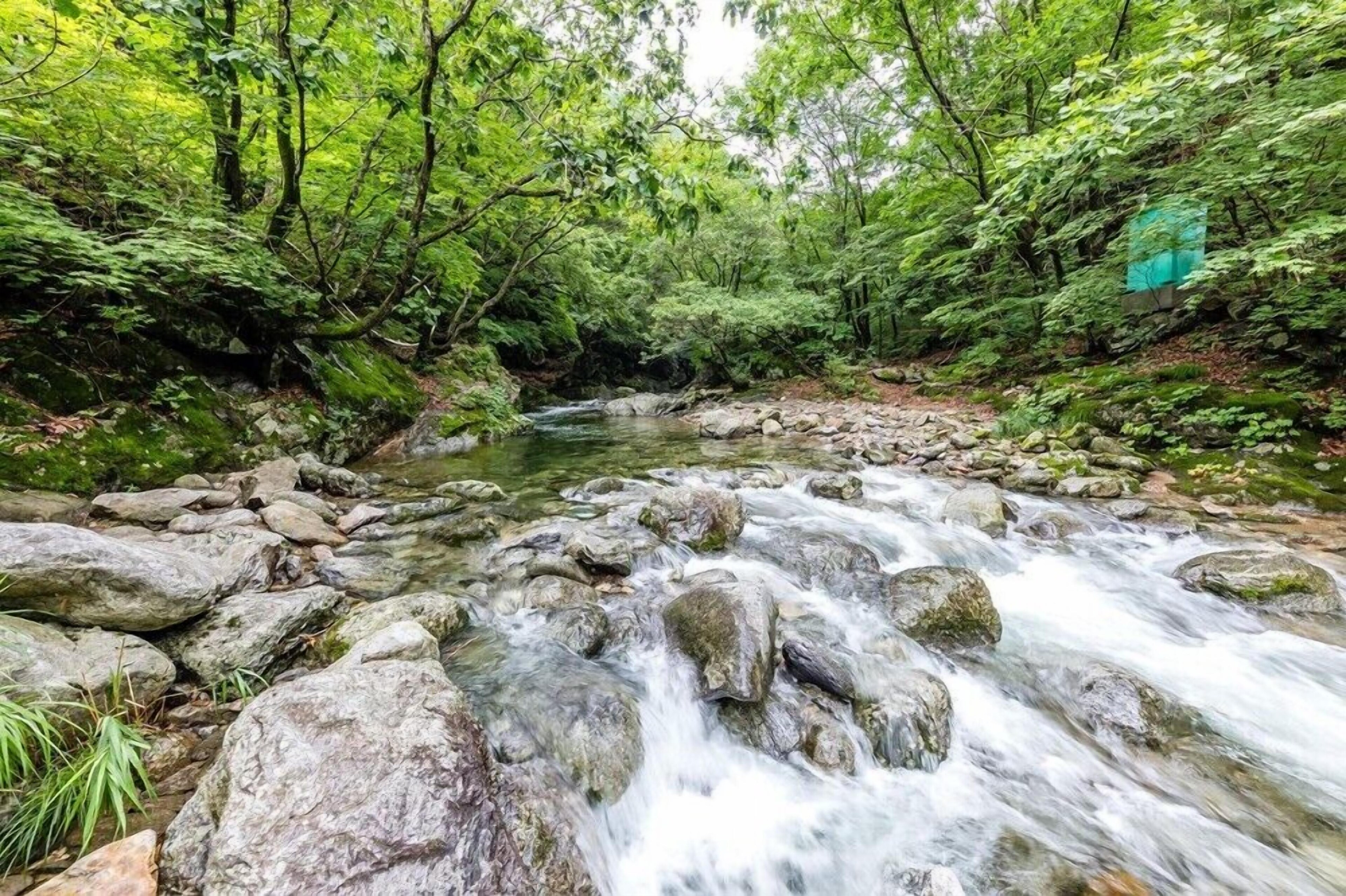 Gapyeong Dorothy Pension