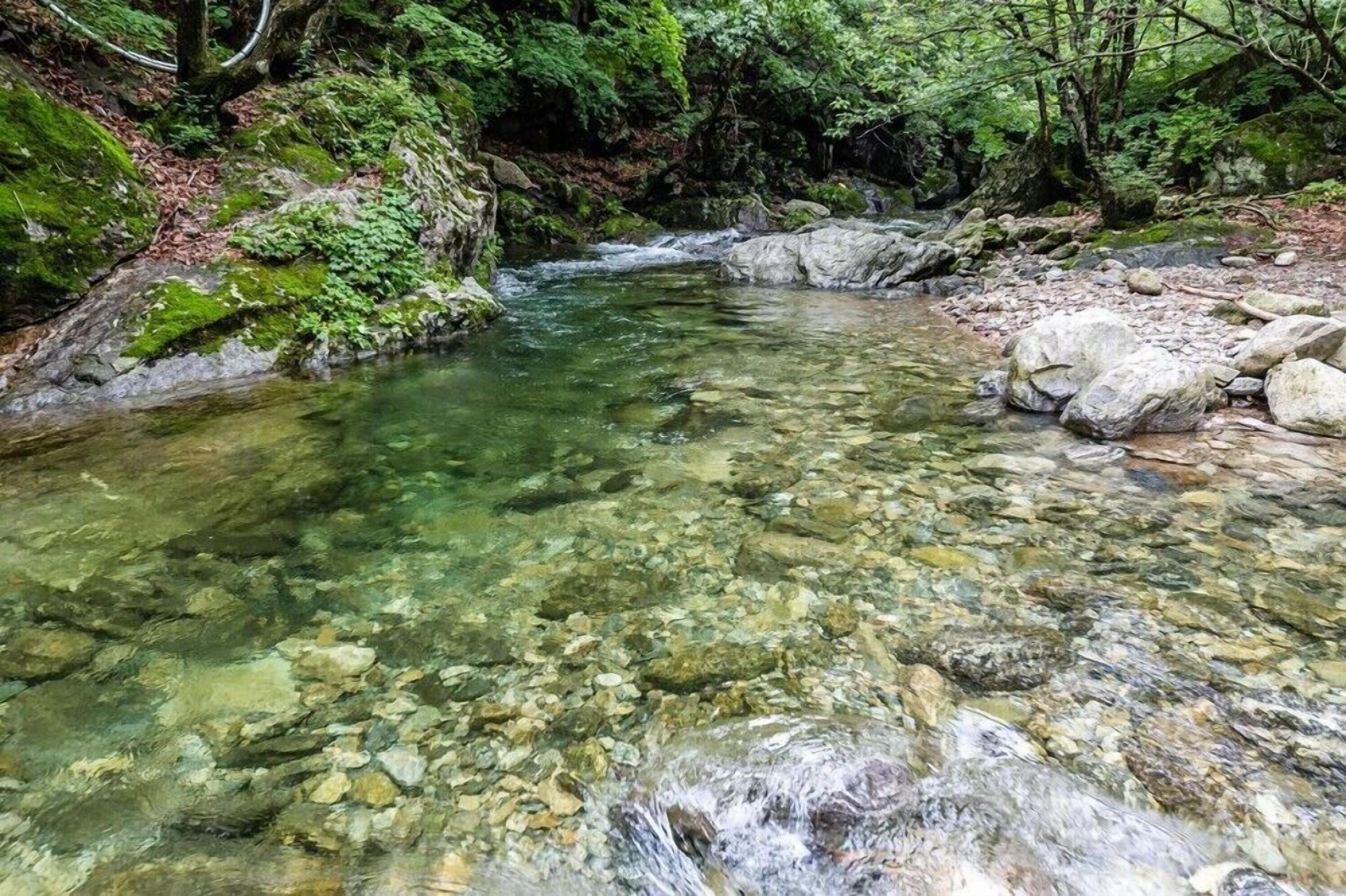 Gapyeong Dorothy Pension