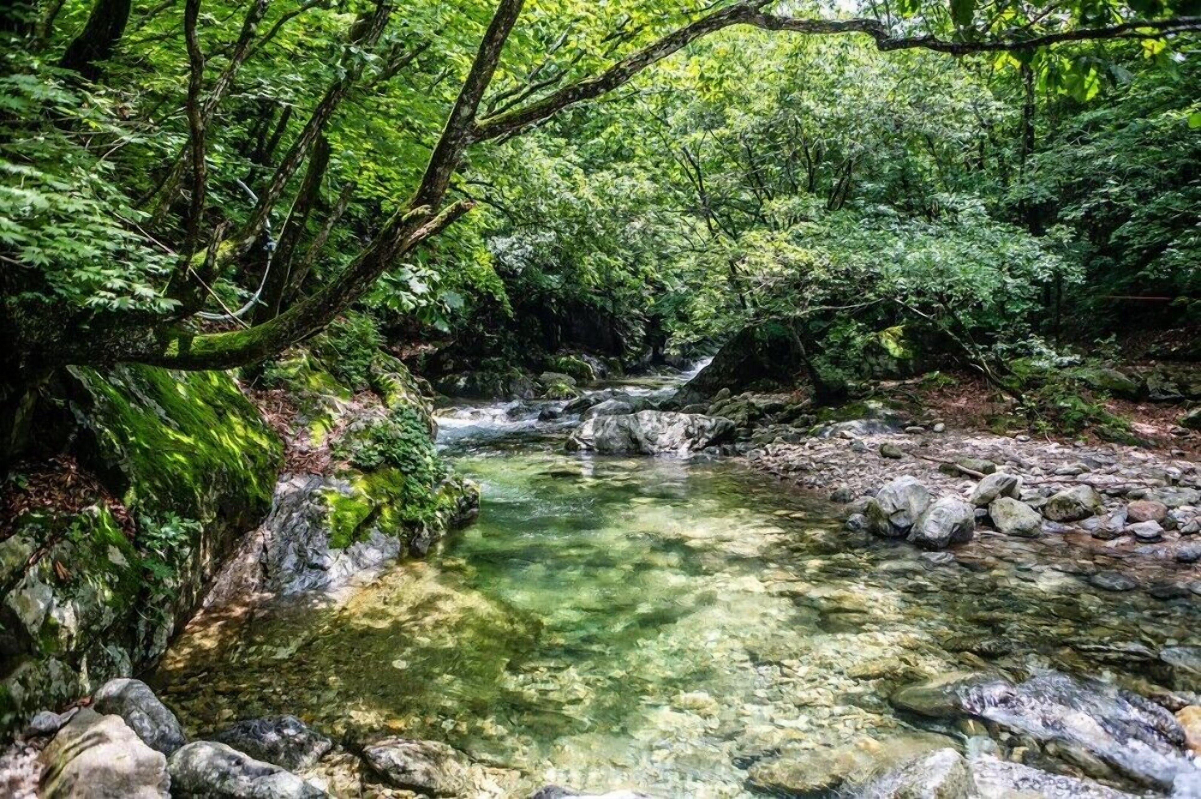 Gapyeong Dorothy Pension
