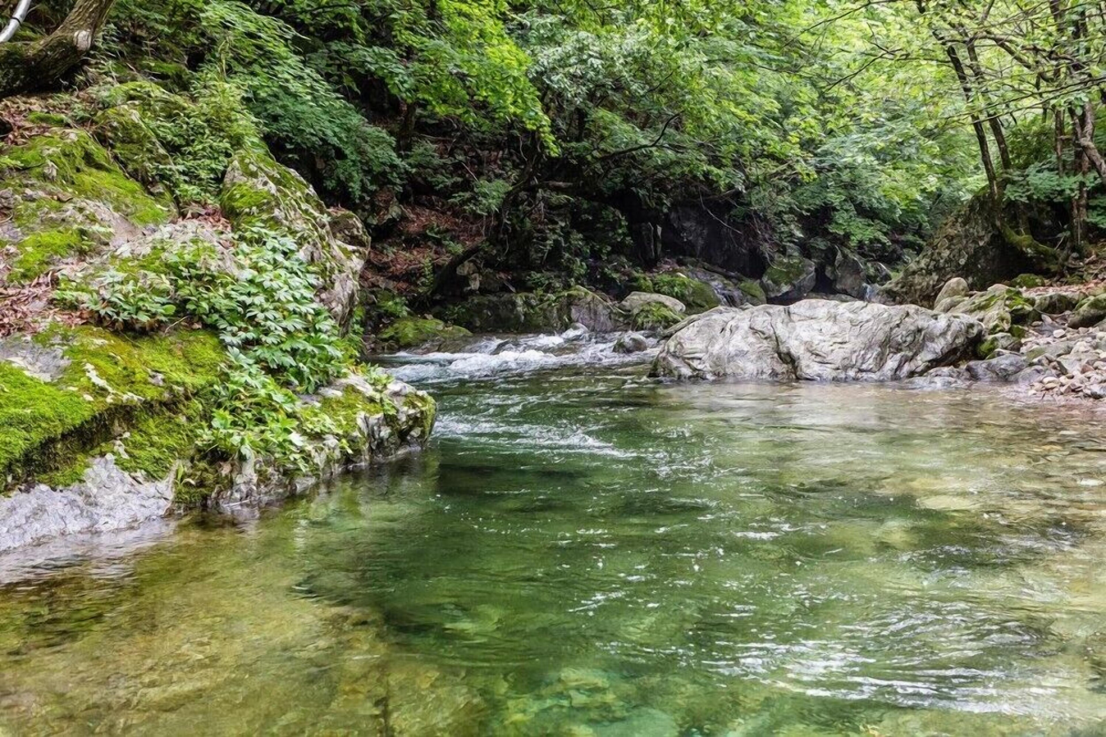 Gapyeong Dorothy Pension