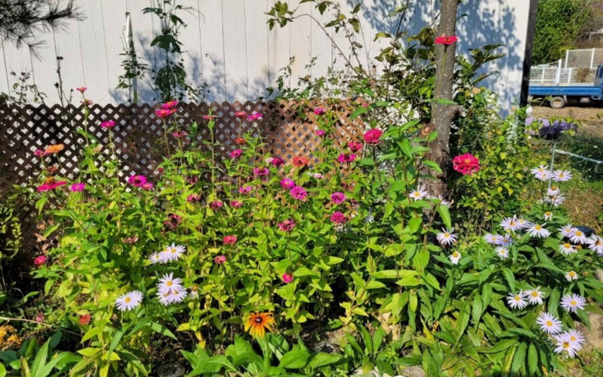 Gapyeong Green Garden Valley Pension