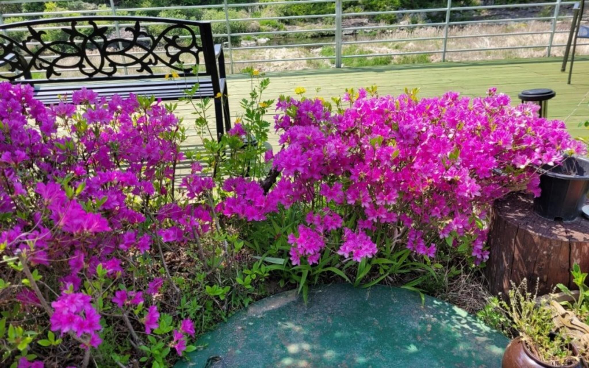 Gapyeong Green Garden Valley Pension