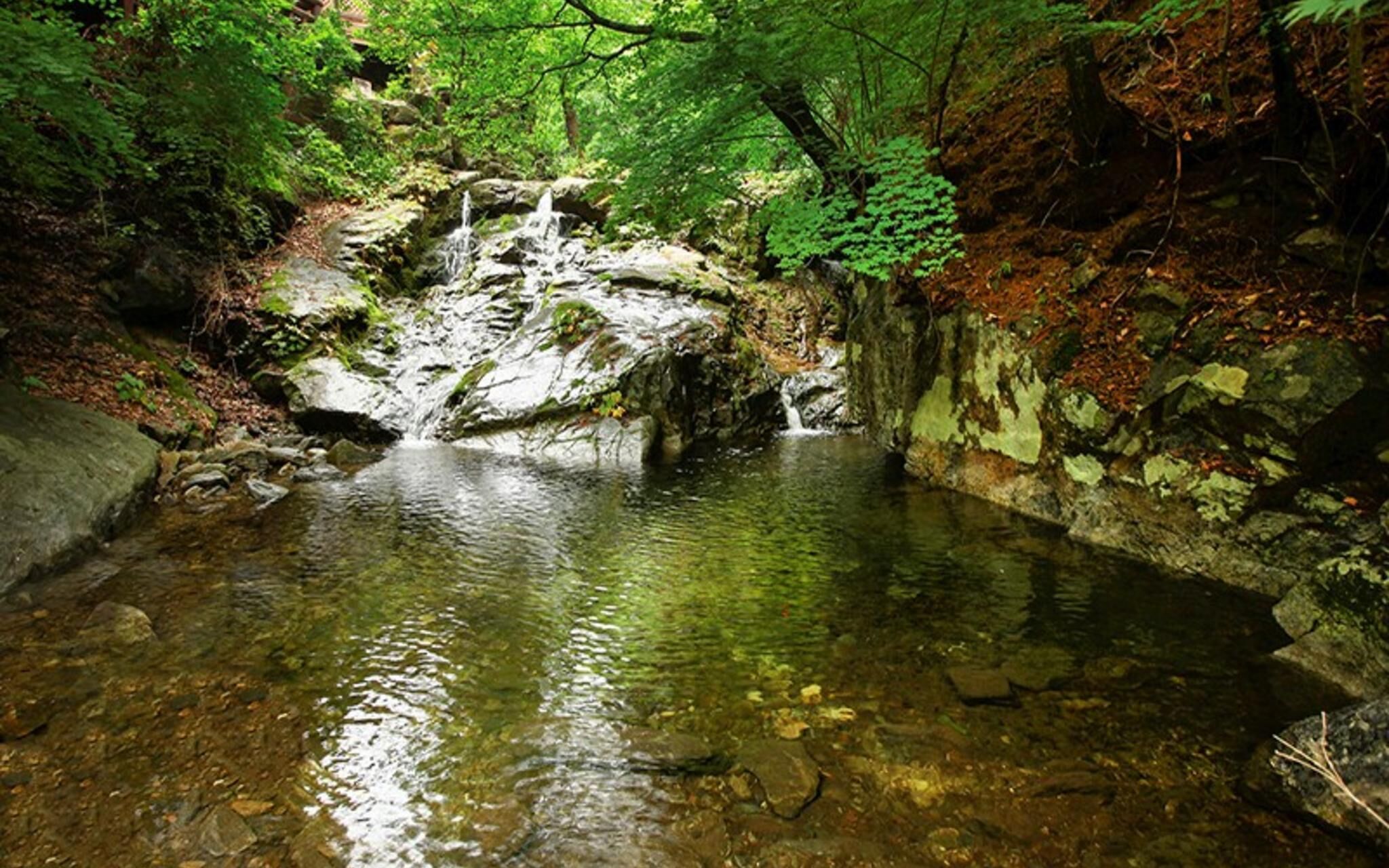 Gapyeong I Am Pension