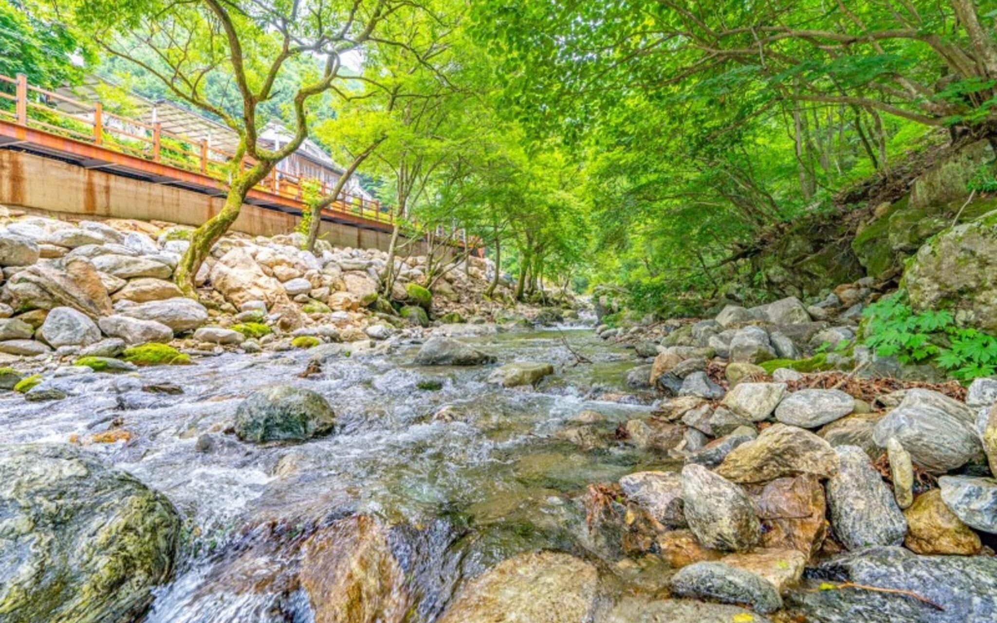 Gapyeong Krabi Pension