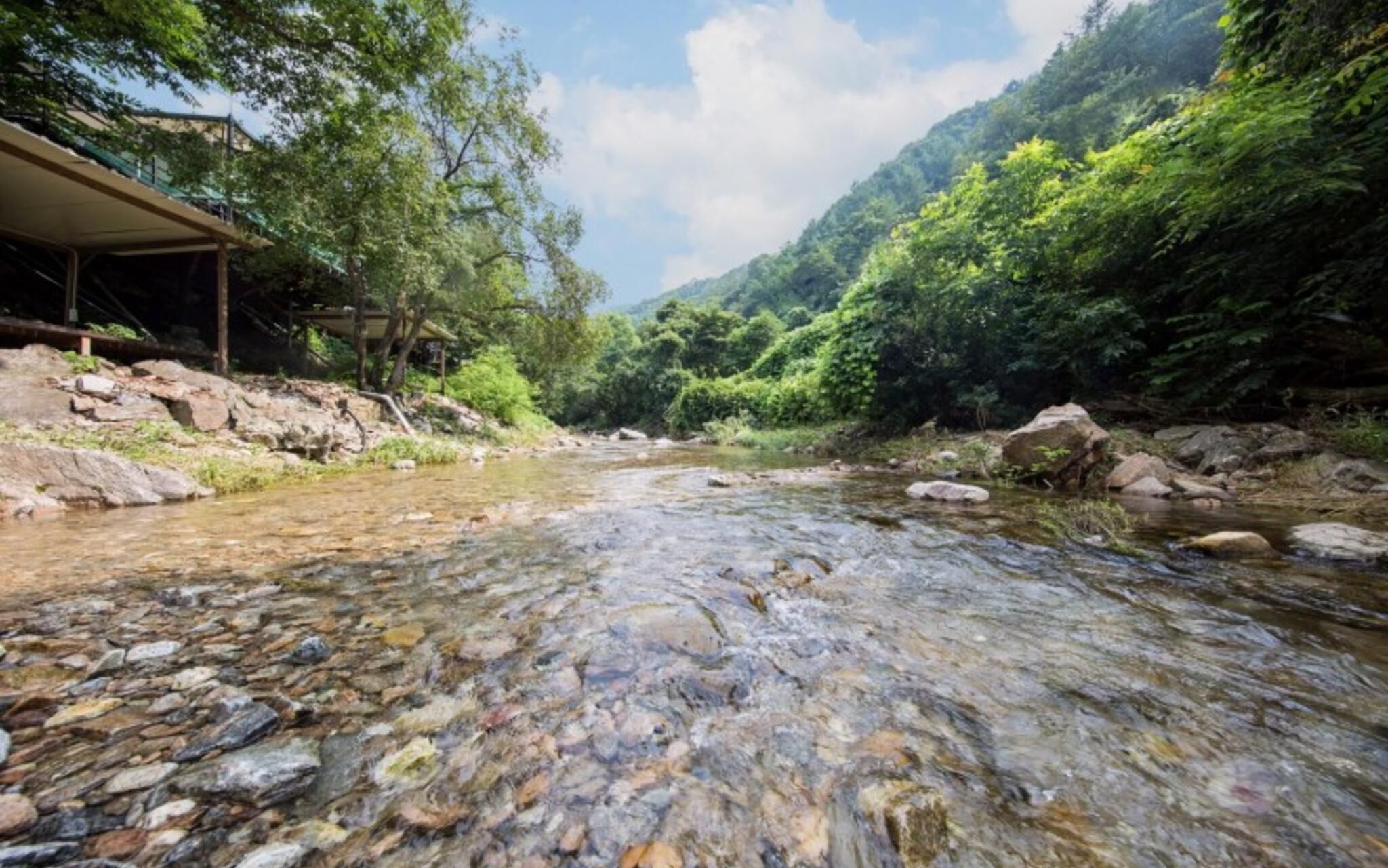 Gapyeong La Foret Pension