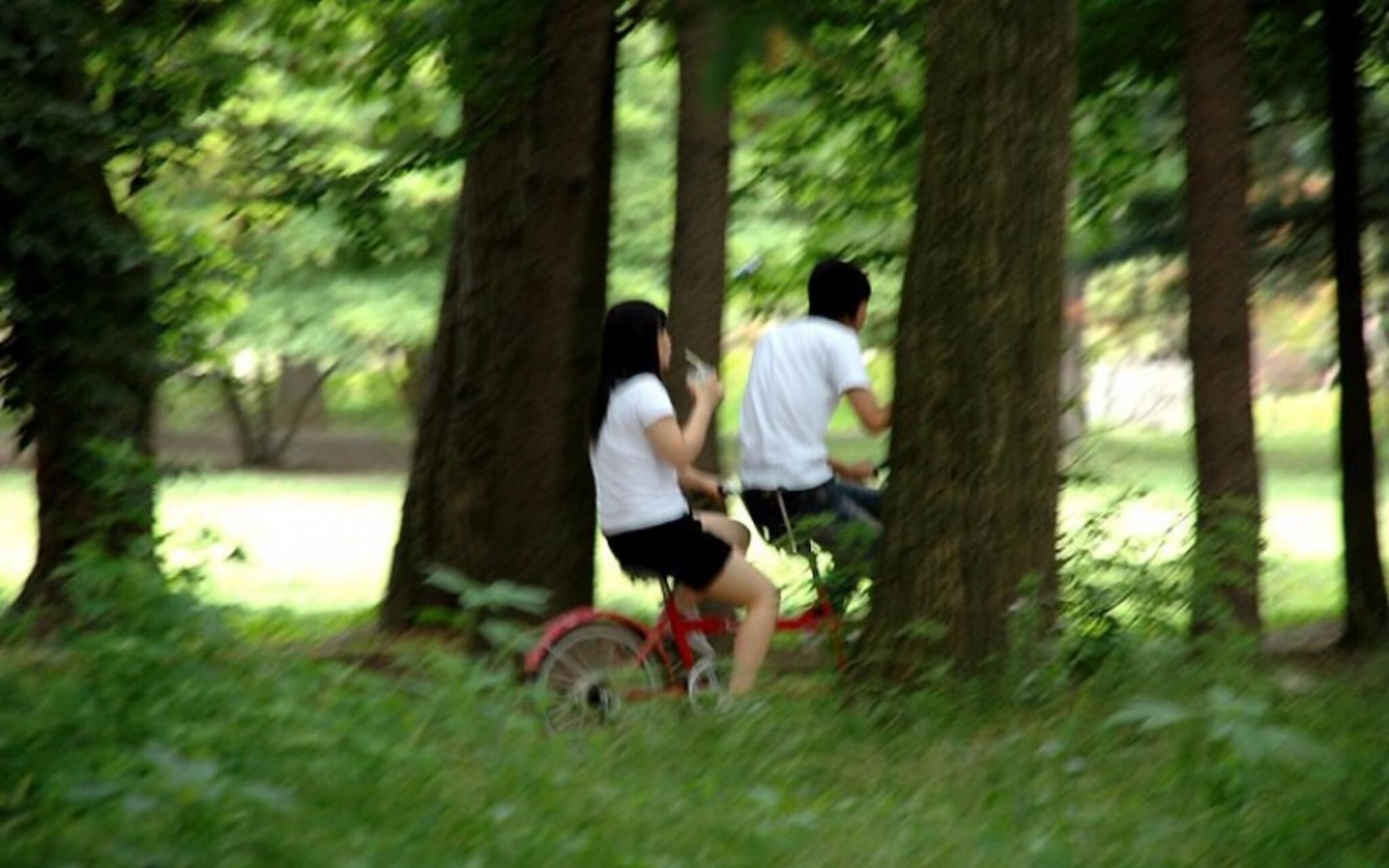 Gapyeong Lavita Glamping Pension