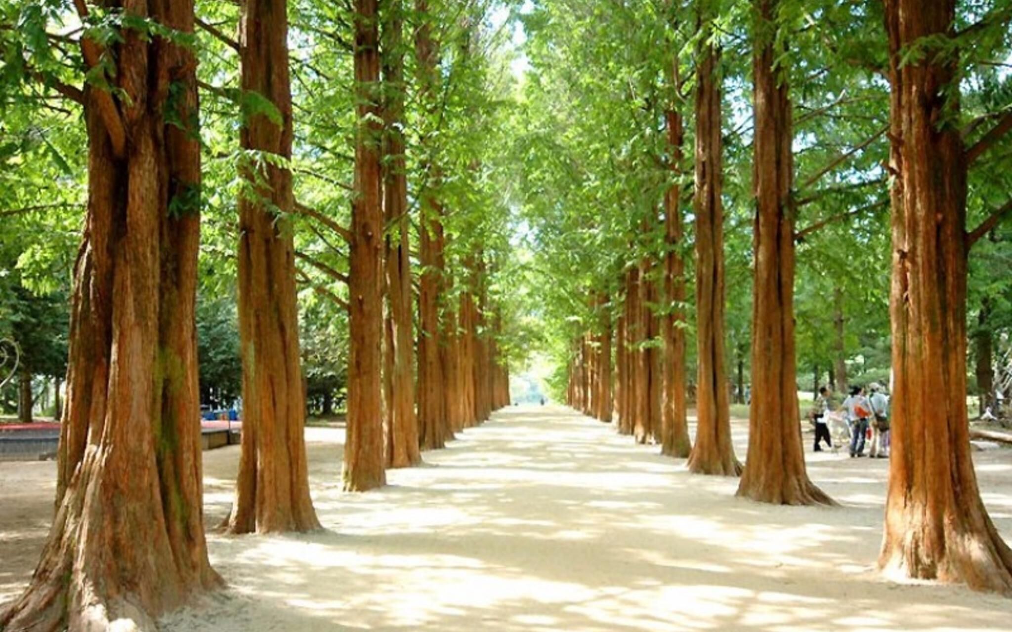 Gapyeong Lavita Glamping Pension