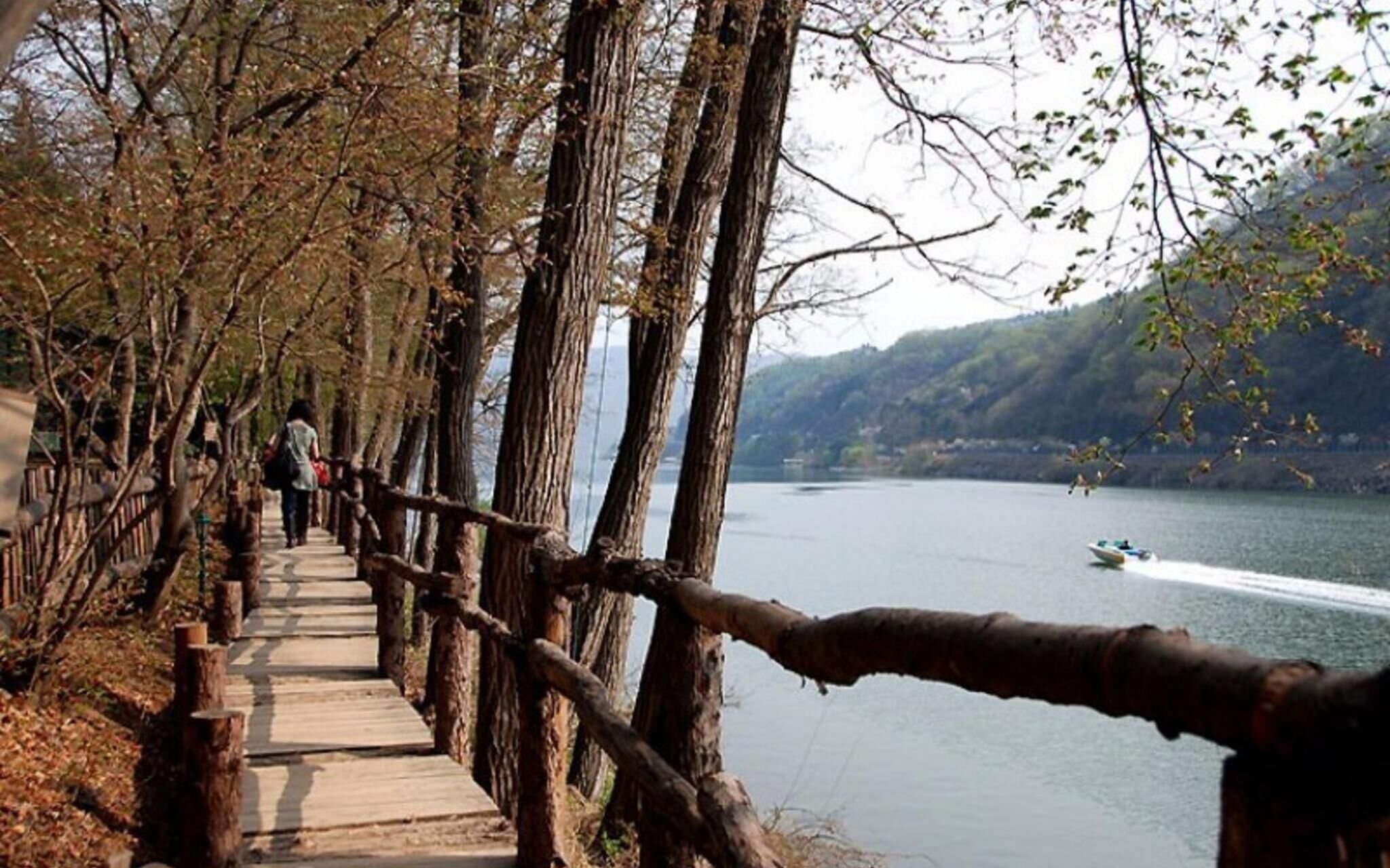 Gapyeong Lavita Glamping Pension