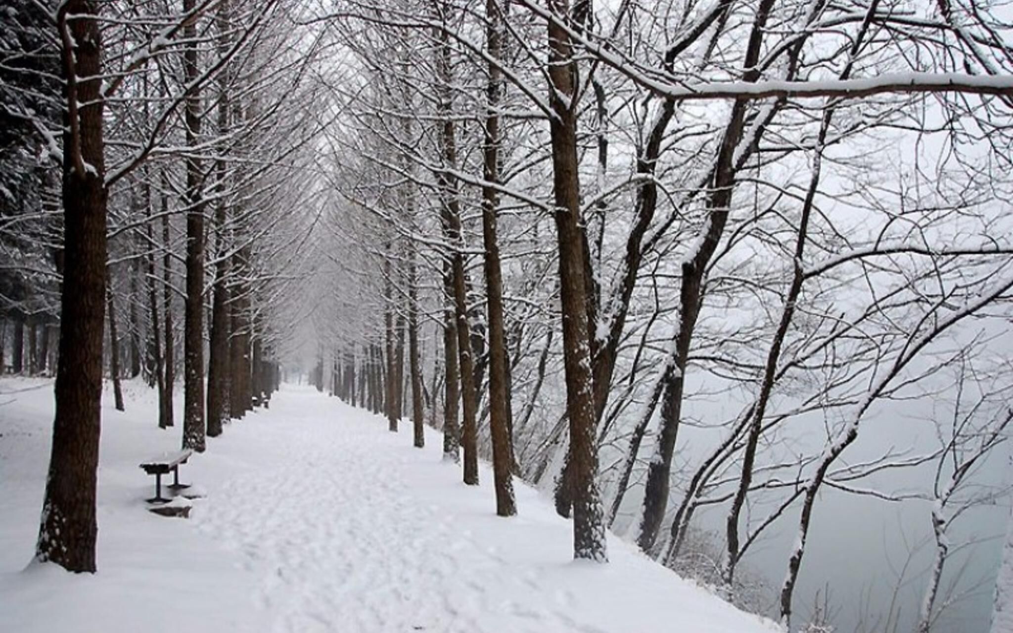 Gapyeong Lavita Glamping Pension